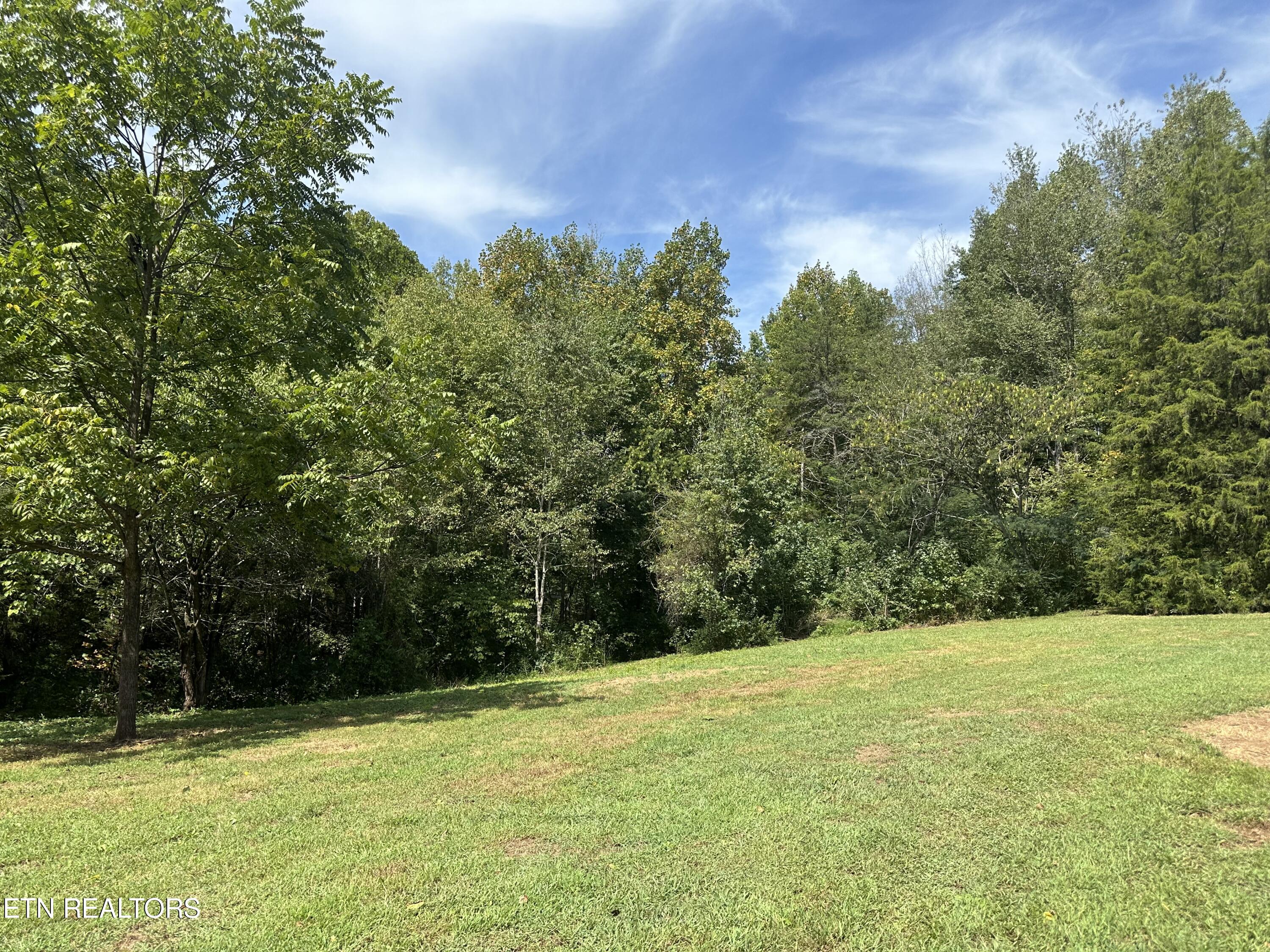 Hendren Lane Clinton, TN 37716 - Photo 13 of 27 IMG_3963