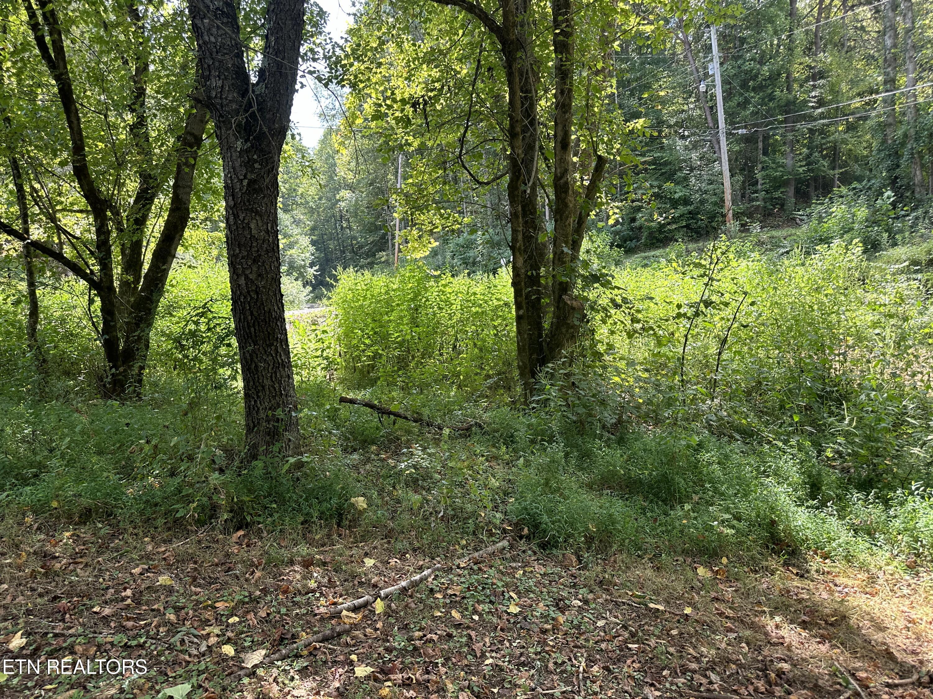 Hendren Lane Clinton, TN 37716 - Photo 16 of 27 IMG_3971