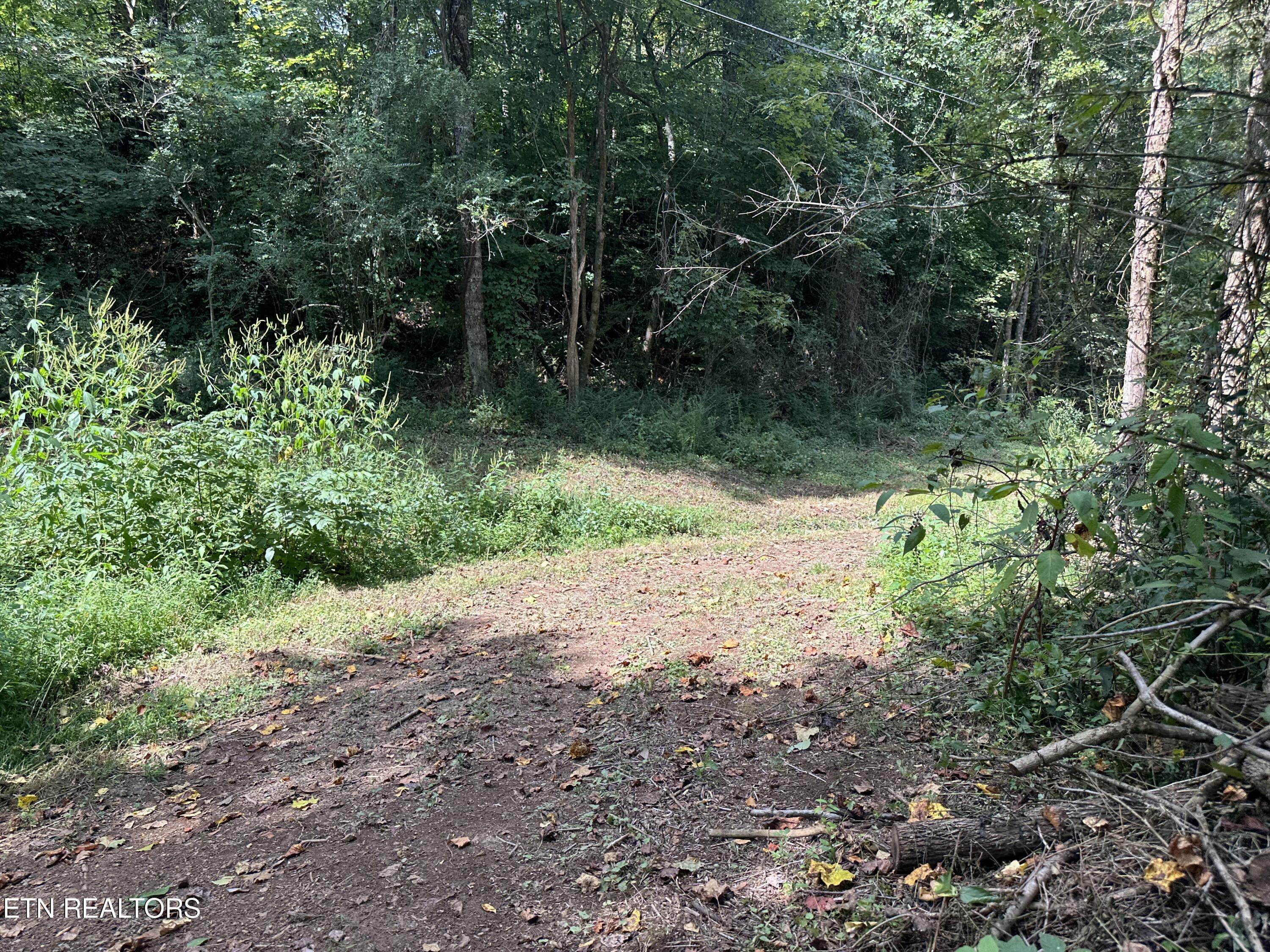 Hendren Lane Clinton, TN 37716 - Photo 17 of 27 IMG_3972