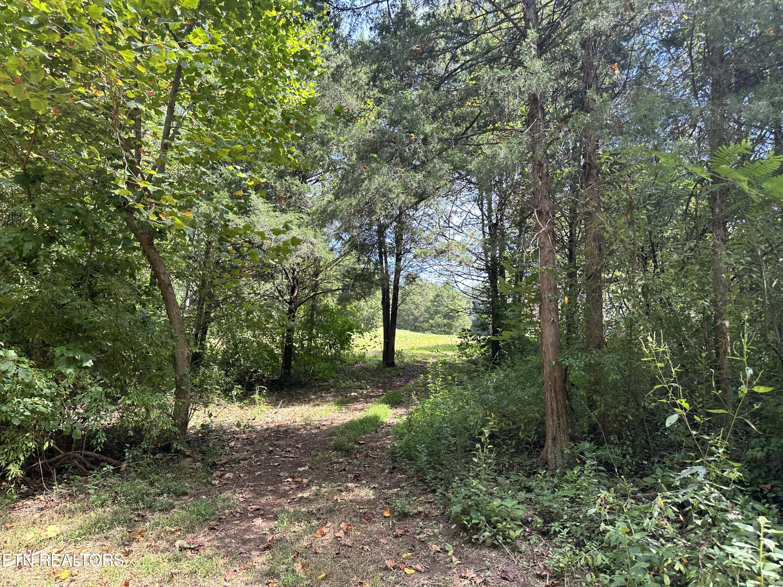 Hendren Lane Clinton, TN 37716 - Photo 18 of 27 IMG_3975