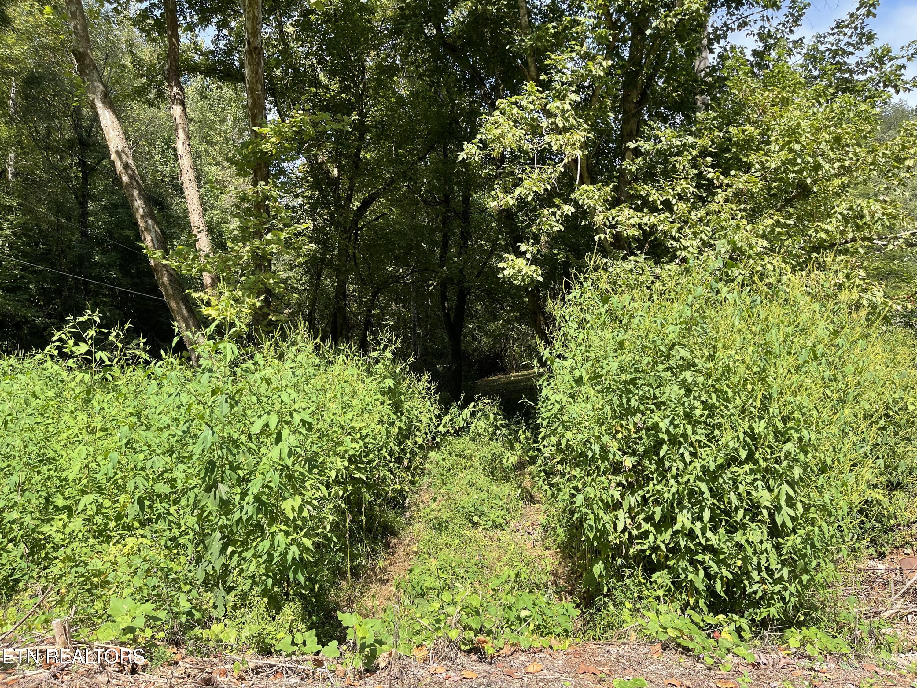 Hendren Lane Clinton, TN 37716 - Photo 21 of 27 IMG_8117