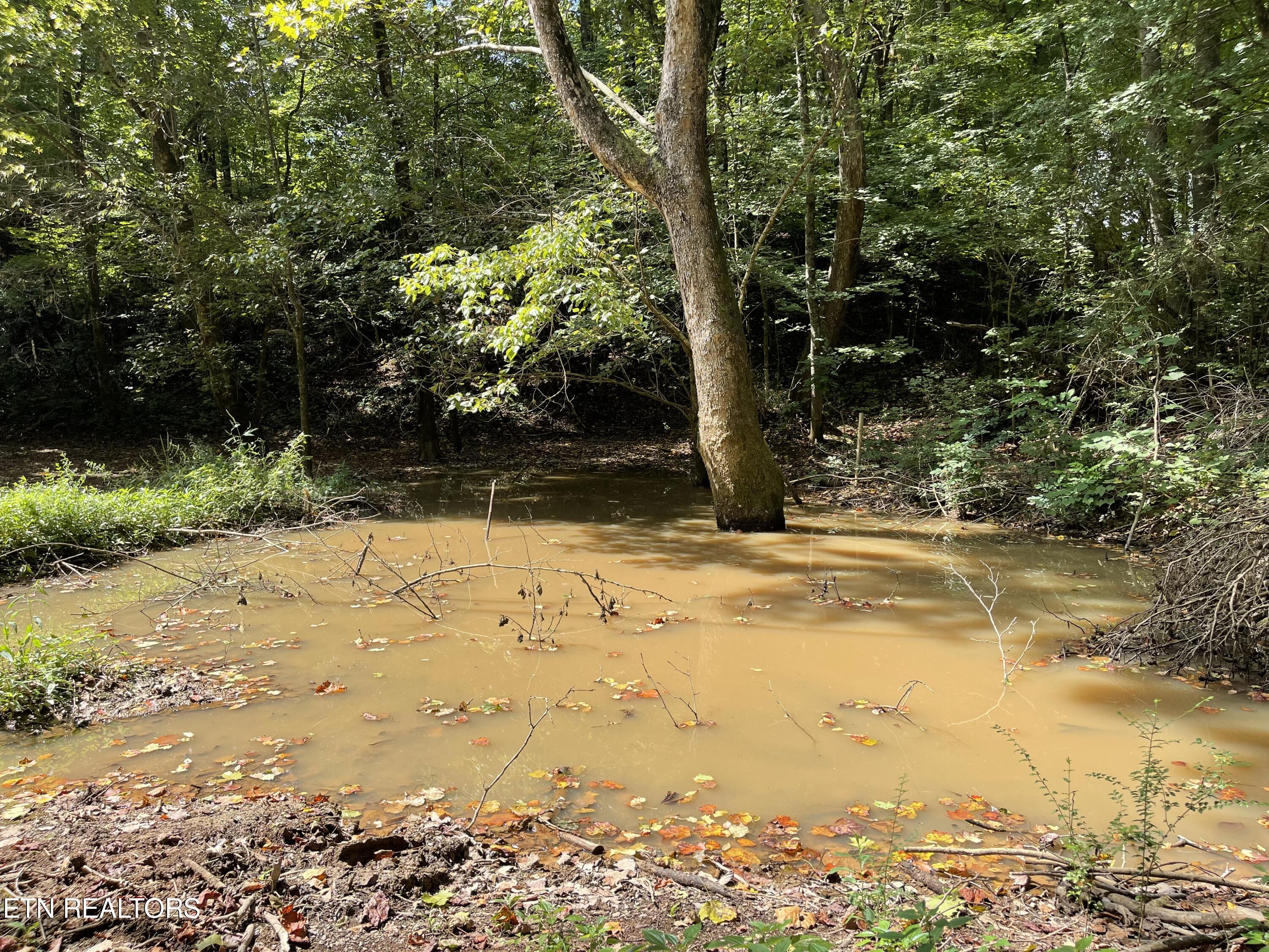 Hendren Lane Clinton, TN 37716 - Photo 23 of 27 IMG_8129