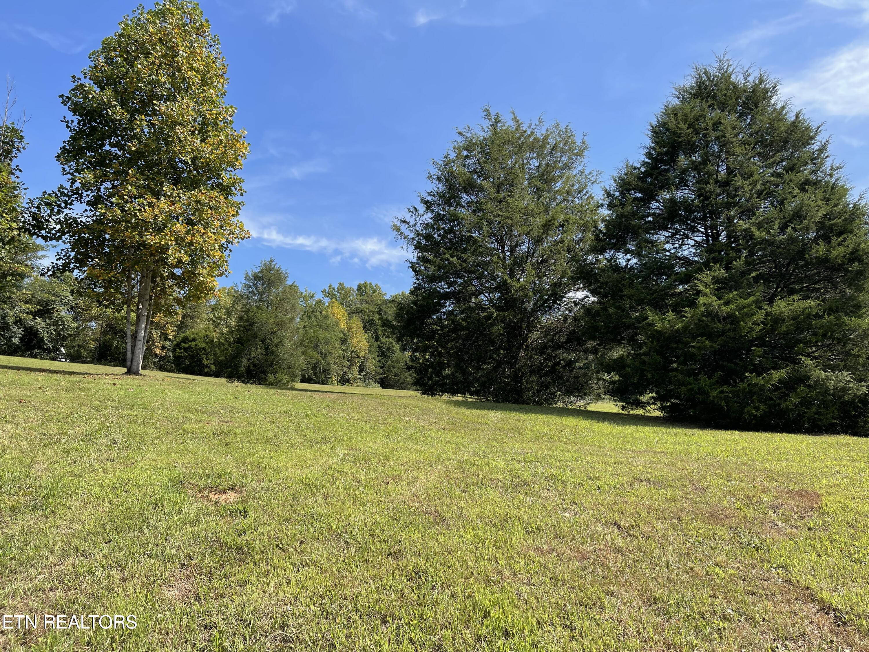 Hendren Lane Clinton, TN 37716 - Photo 5 of 27 IMG_8074