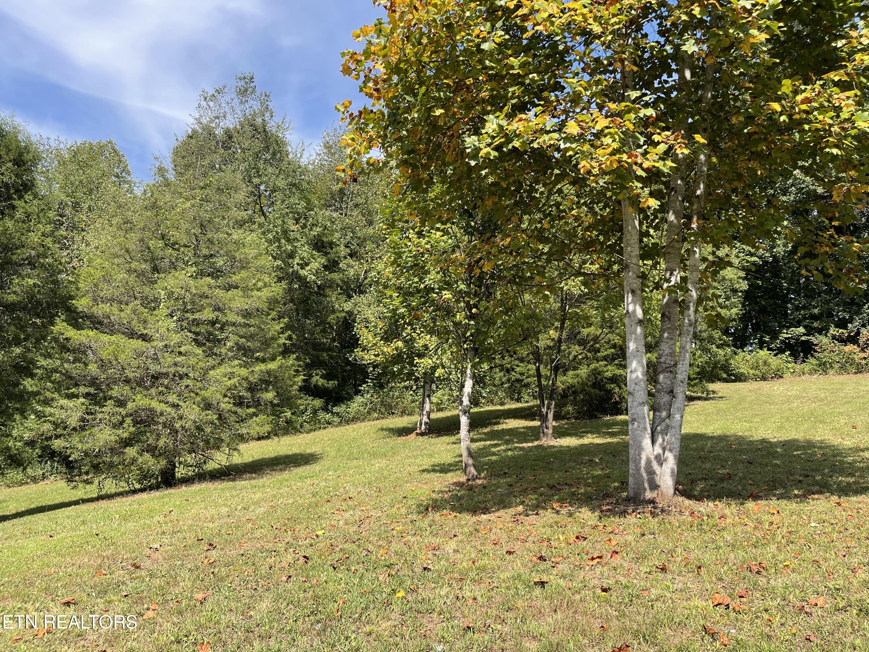 Hendren Lane Clinton, TN 37716 - Photo 6 of 27 IMG_8078