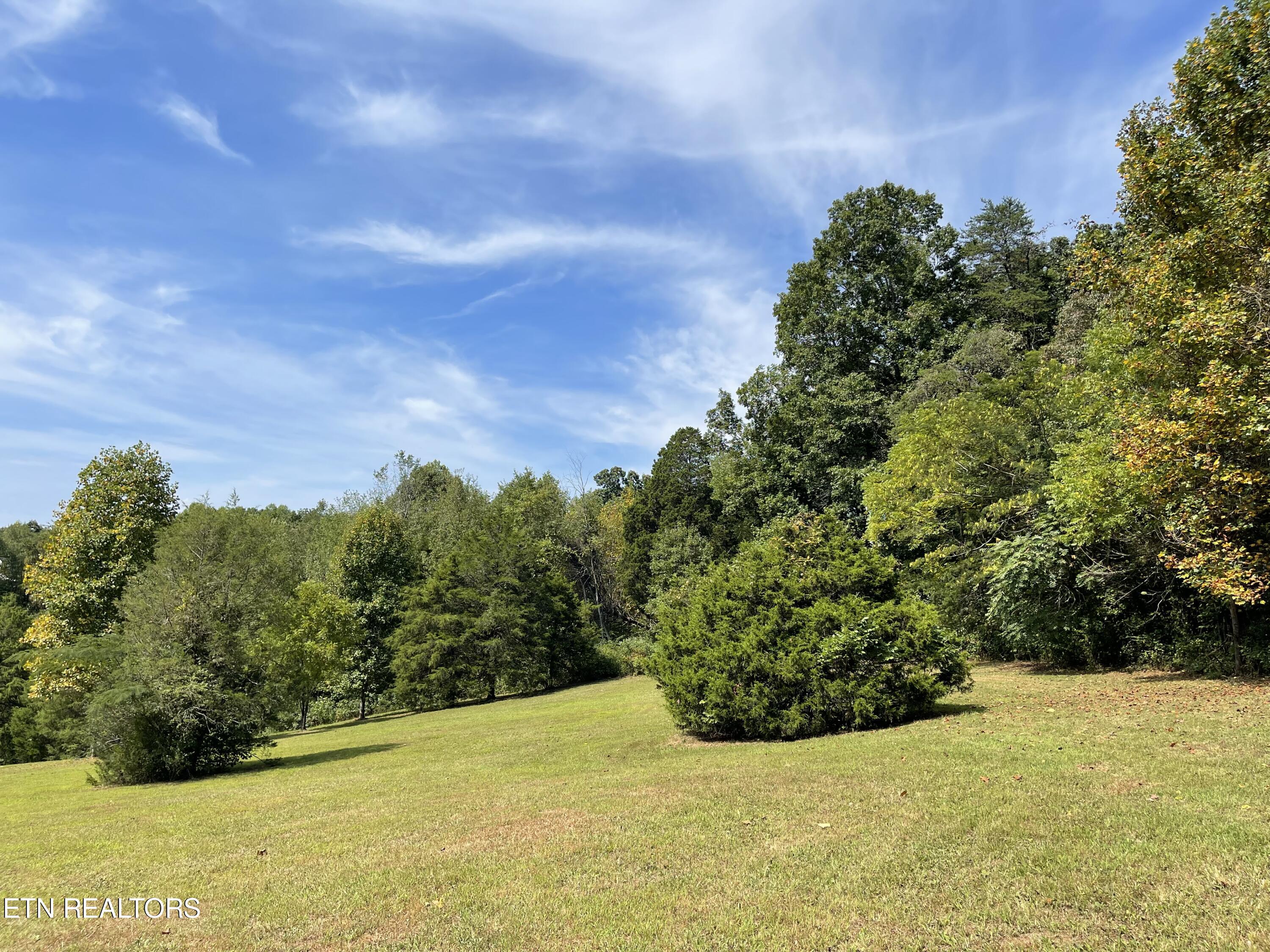 Hendren Lane Clinton, TN 37716 - Photo 9 of 27 IMG_8090