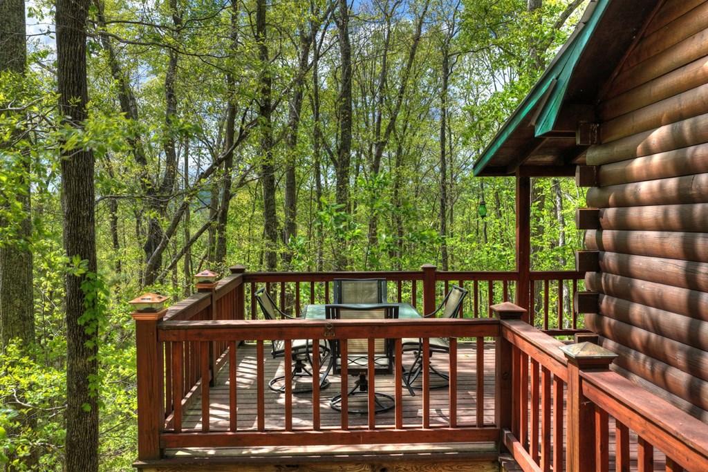660 Ripshin Mountain Road Blue Ridge, GA 30513 - Photo 22 of 40
