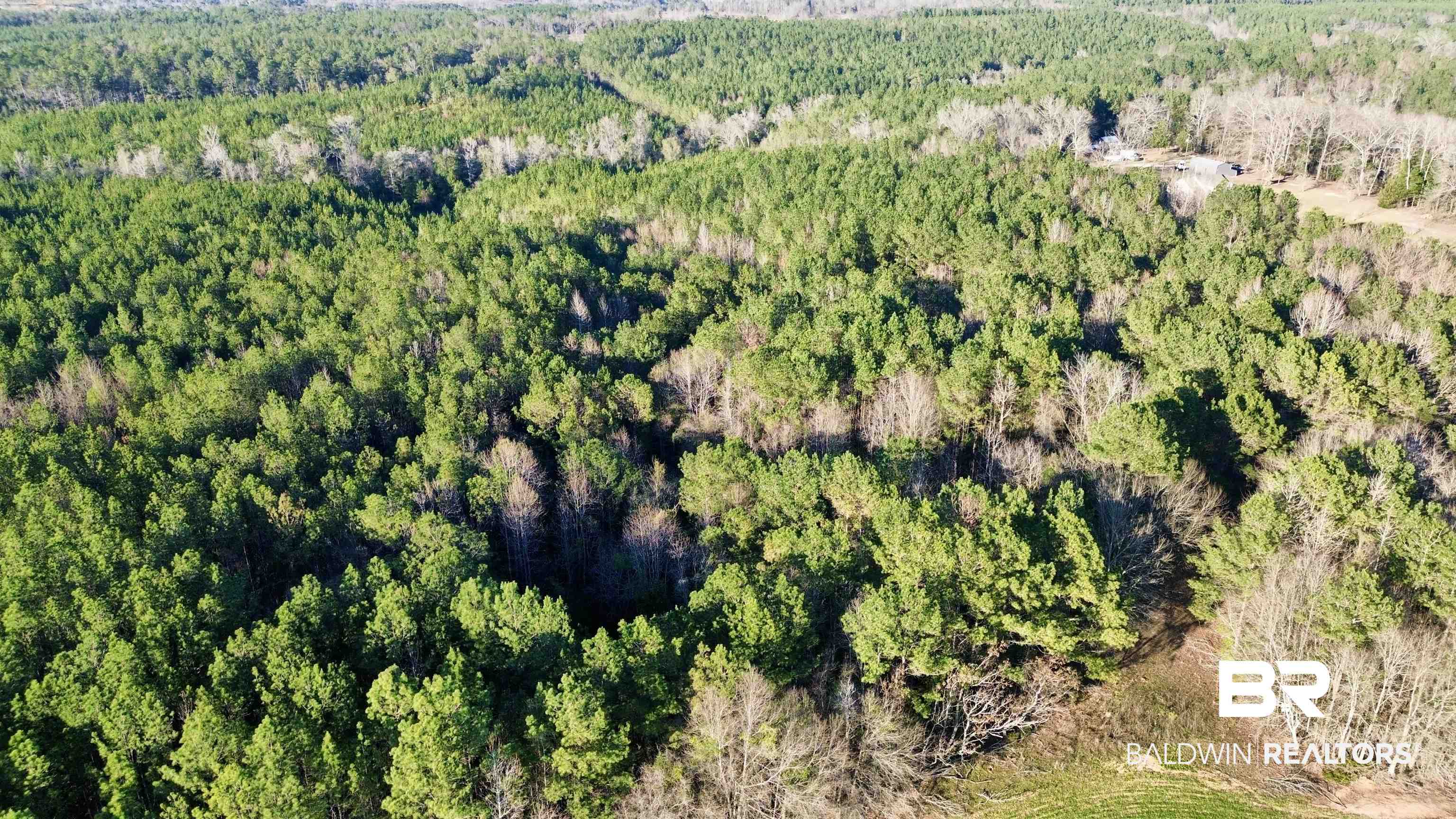 0 Ward Road Frisco City, AL 36445 - Photo 11 of 12 Bird's eye view featuring a view of trees