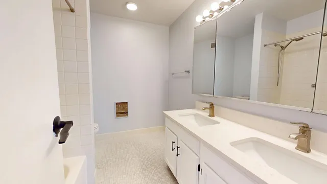 a bathroom with a double vanity sink a mirror and shower