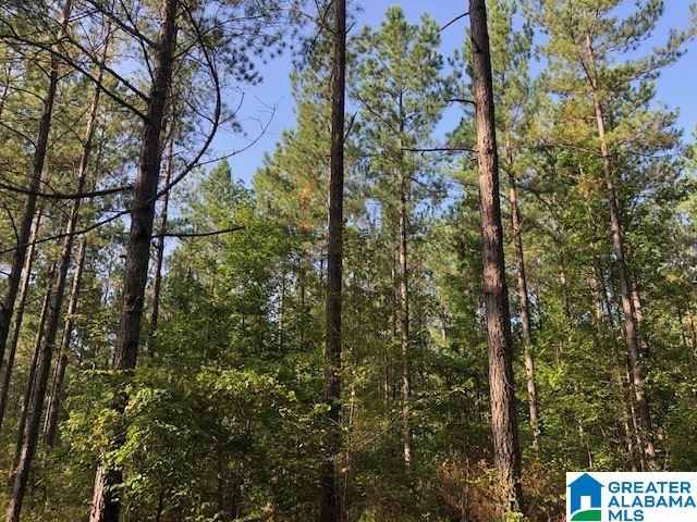 632 County Road, Unit 19 64 Roanoke, AL 36274 - Photo 1 of 8