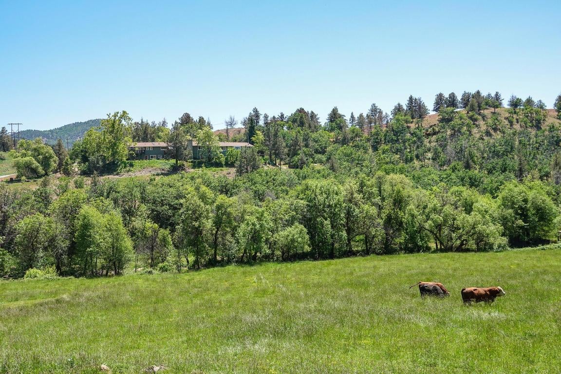 13305 Ager Beswick Road Montague, CA 96064 - Photo 3 of 49 Gallery Image 3