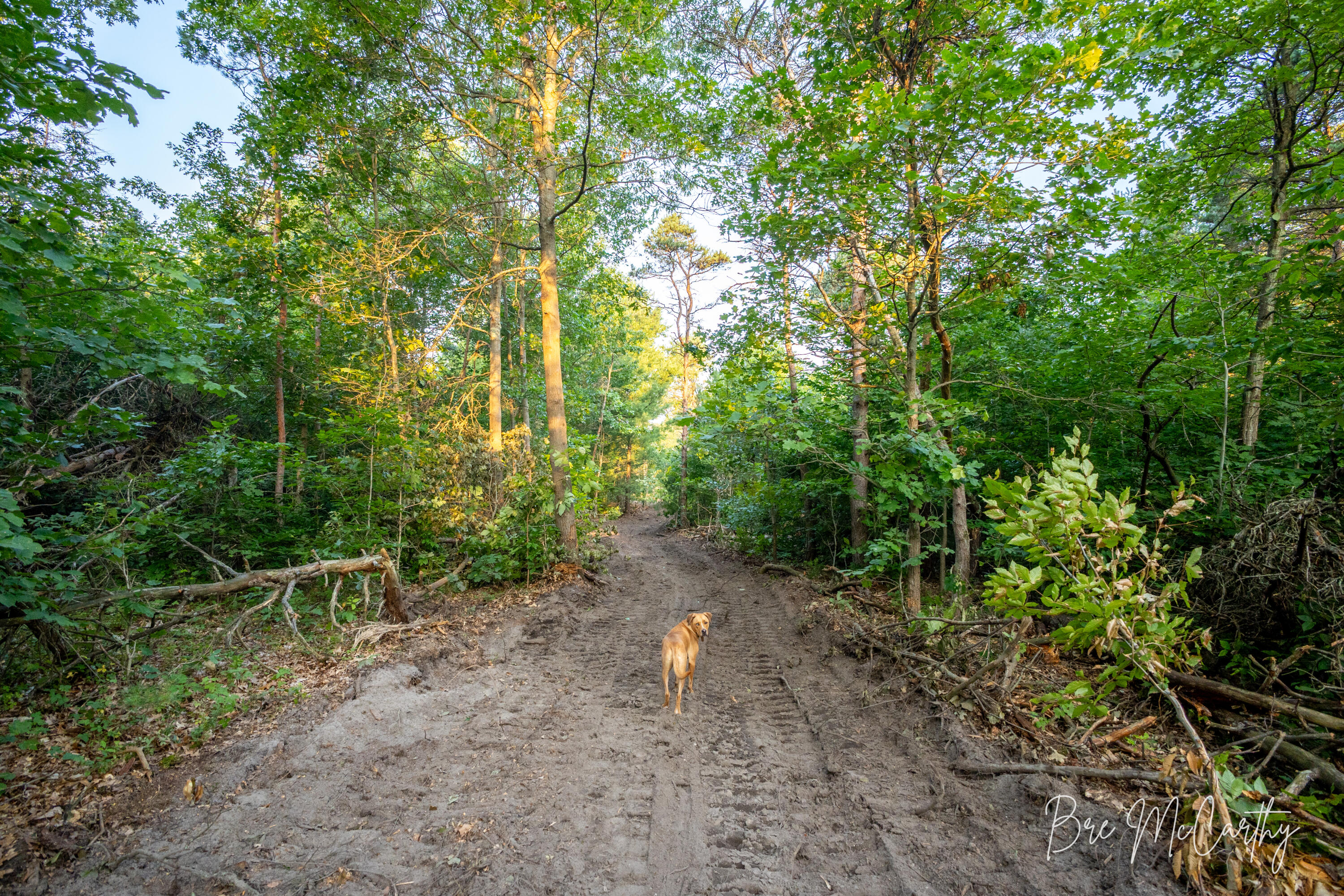 V/l Horton Road Muskegon, MI 49445 - Photo 5 of 21 Driveway