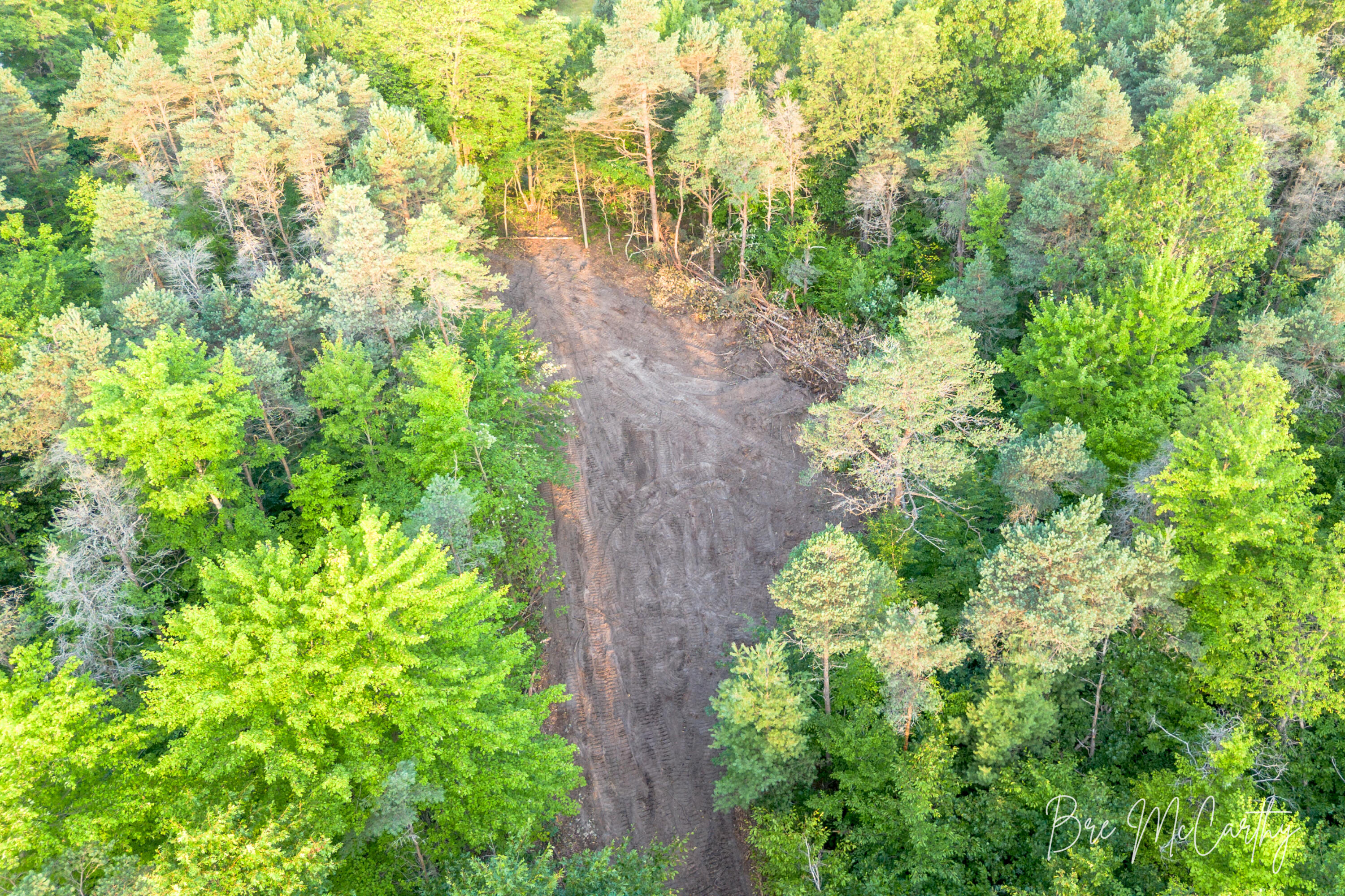 V/l Horton Road Muskegon, MI 49445 - Photo 8 of 21 Back Clearing