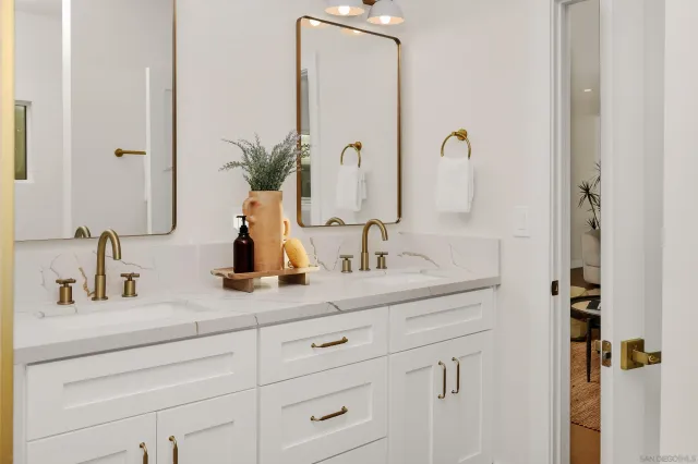 a bathroom with a sink a vanity and a potted plant