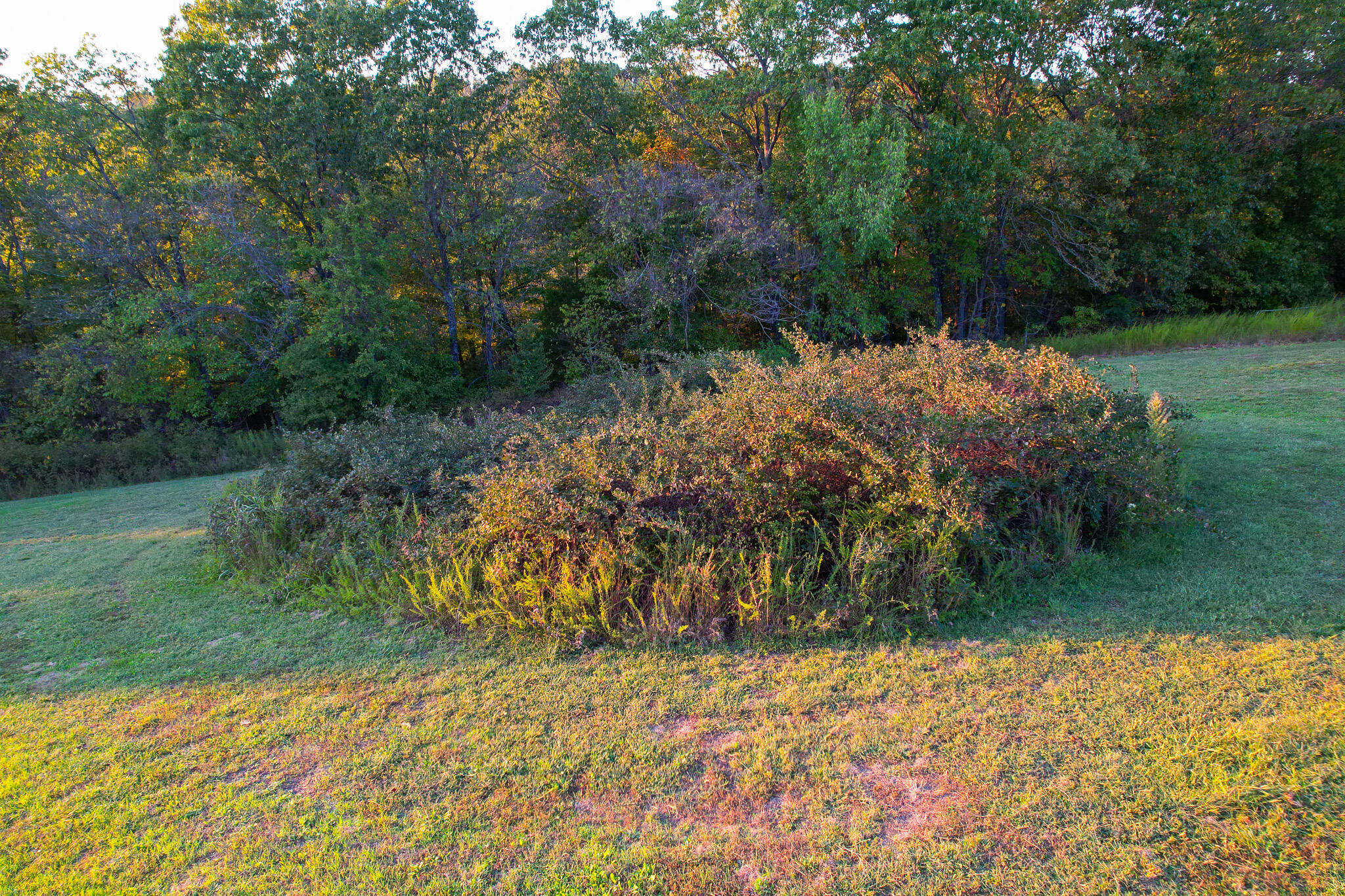 174 Last Resort Road Galena, MO 65656 - Photo 19 of 134 DJI_0149