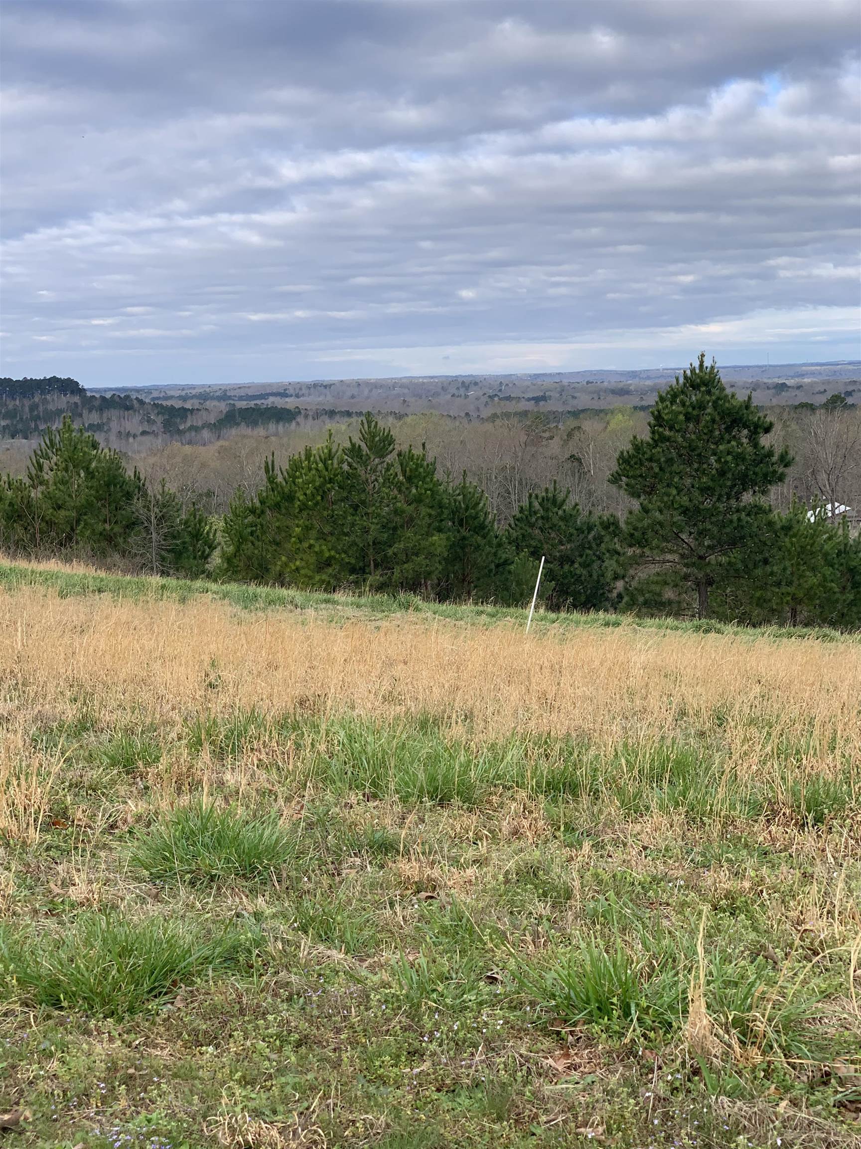 Turkey Knob Road Counce, TN 38326 - Photo 2 of 2 a view of lake with mountain in background