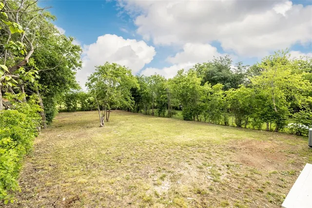 a view of a yard with an trees