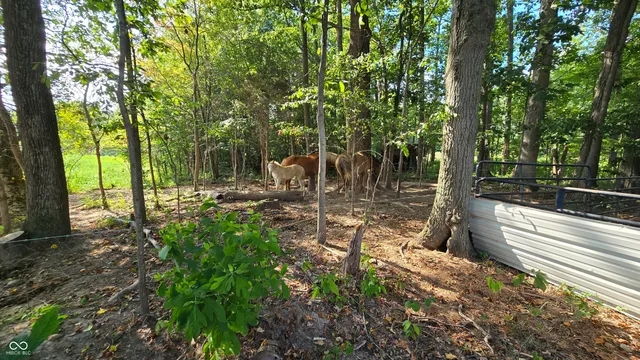 $329,000 | 14750 West Blake Road, Deputy, IN 47230