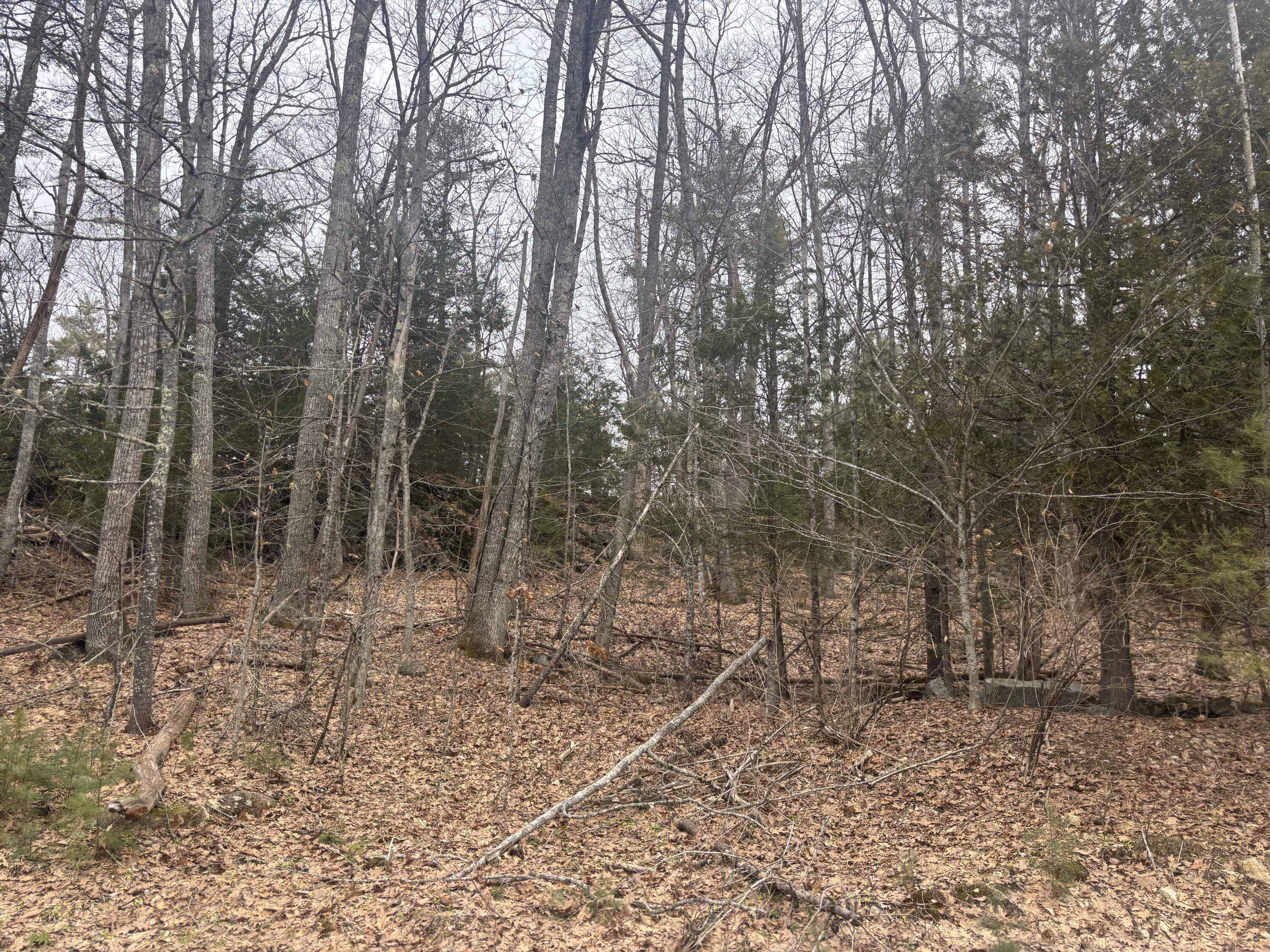 Lot 3 Heath Road Whitefield, ME 04353 - Photo 2 of 5 IMG_6443