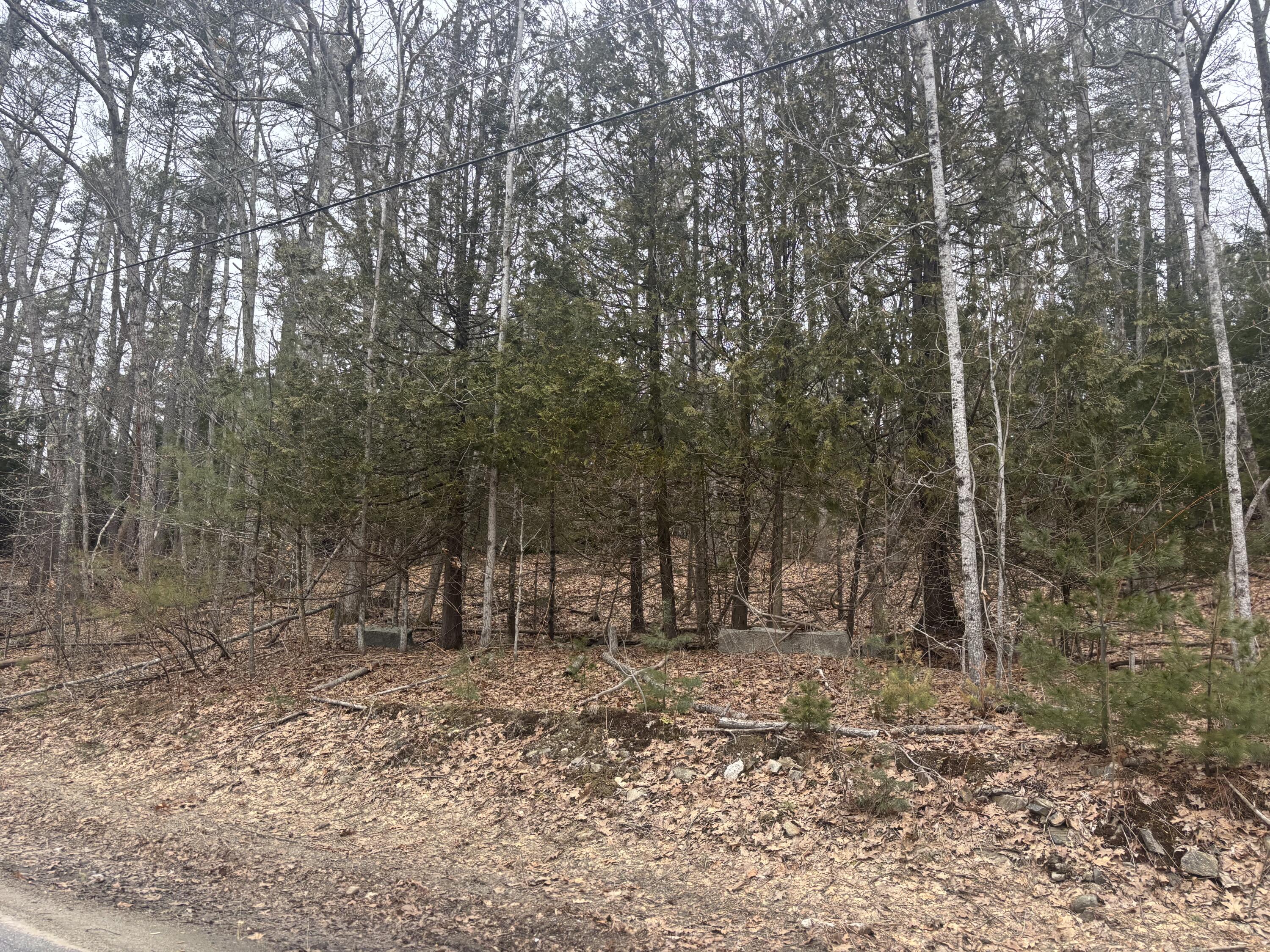 Lot 3 Heath Road Whitefield, ME 04353 - Photo 3 of 5 IMG_6442