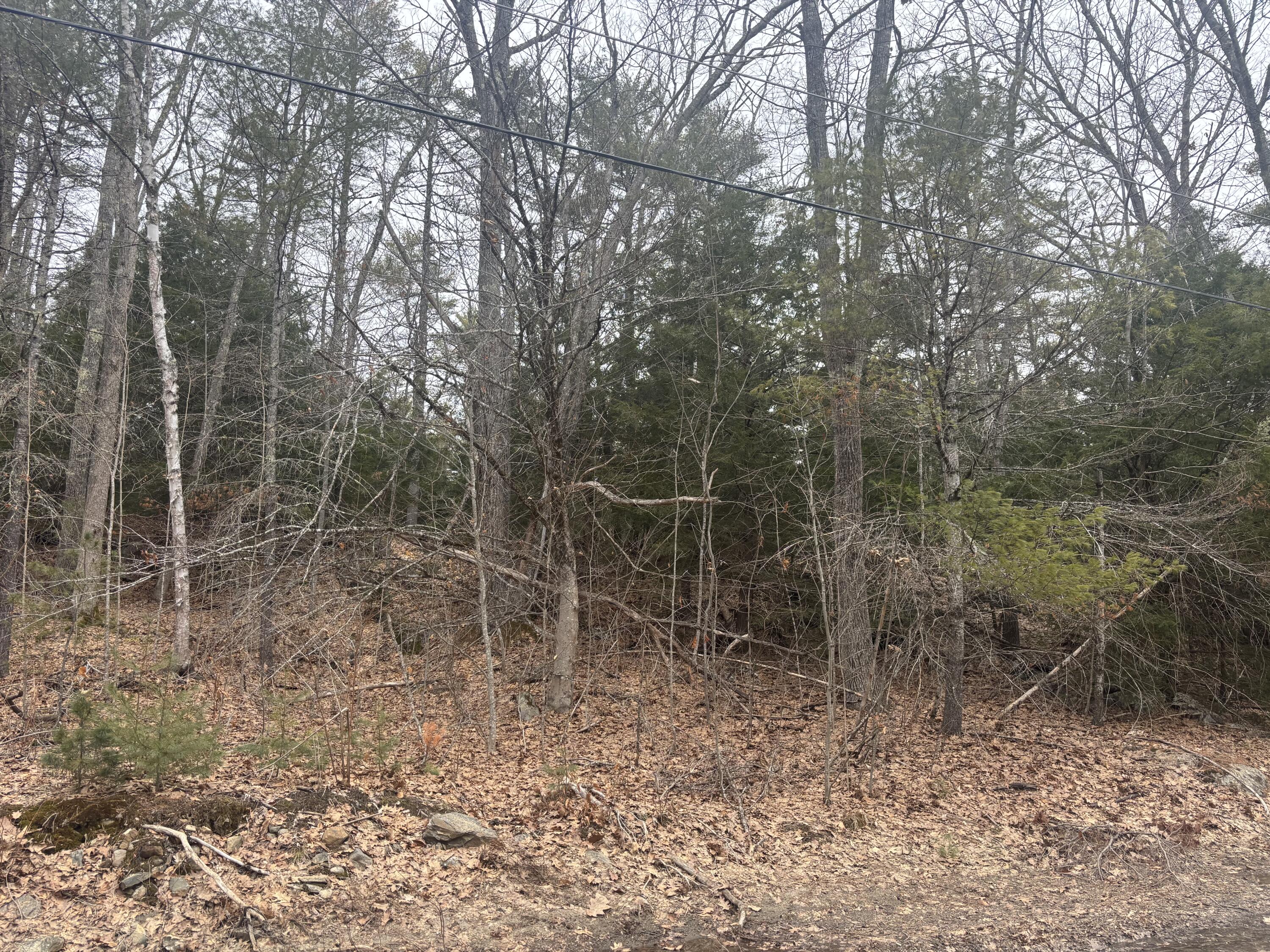 Lot 3 Heath Road Whitefield, ME 04353 - Photo 4 of 5 IMG_6441