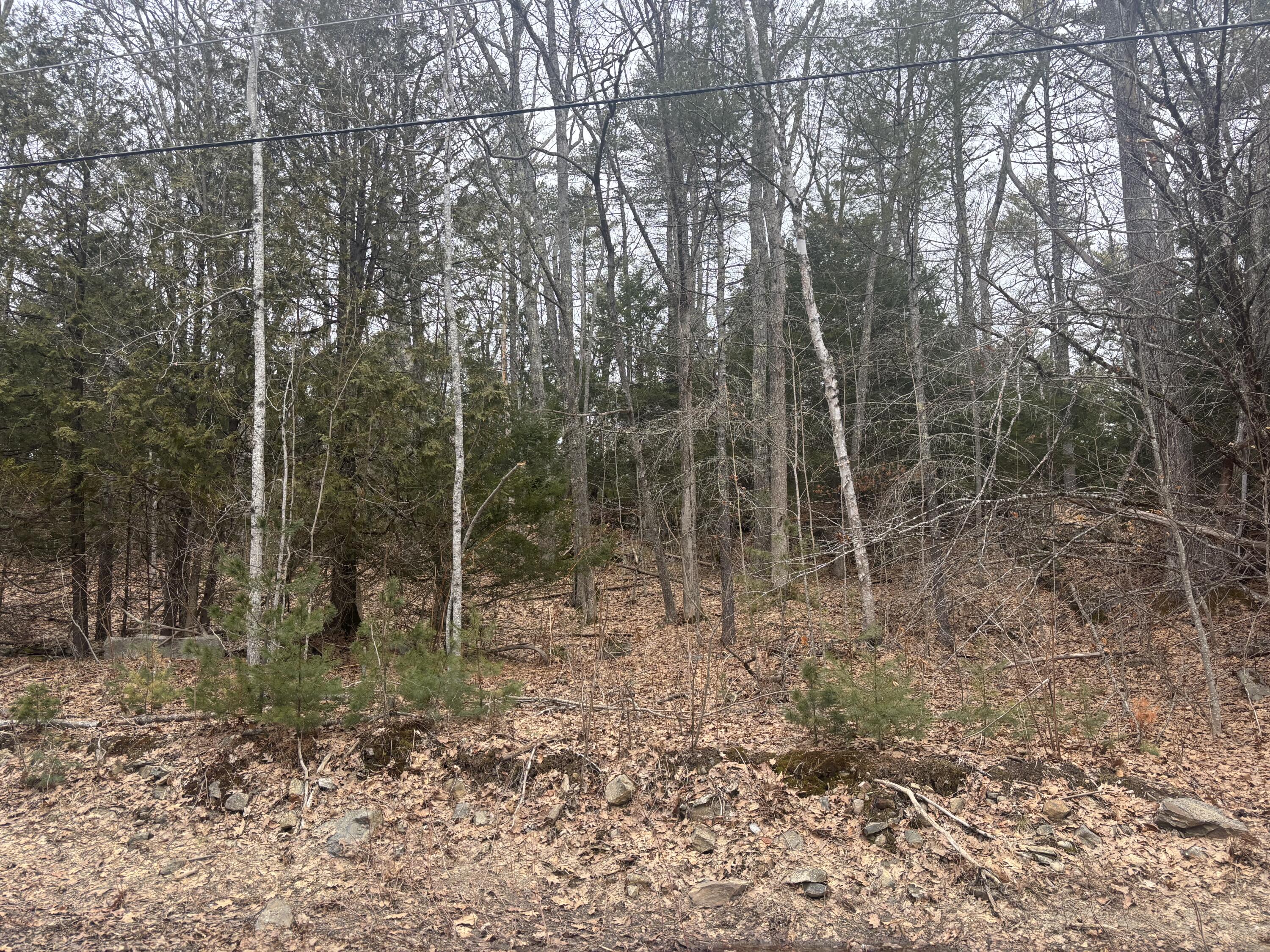 Lot 3 Heath Road Whitefield, ME 04353 - Photo 5 of 5 IMG_6440