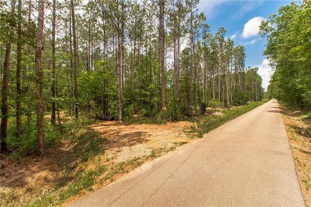76317 Bob Levy Road Abita Springs, LA 70420 - Photo 4 of 13