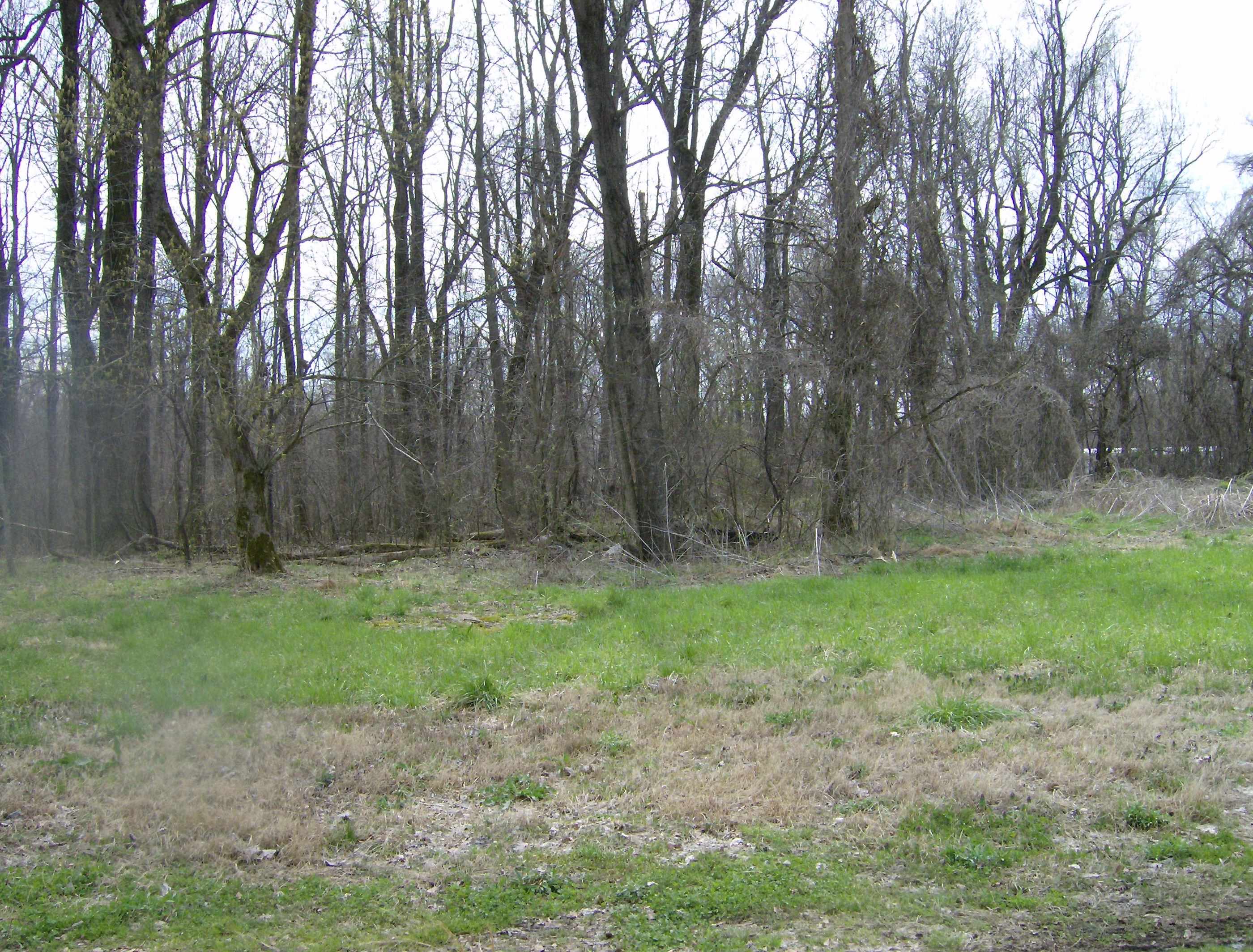 1050 Pryor Road Drummonds, TN 38023 - Photo 11 of 16 Gallery Image 11