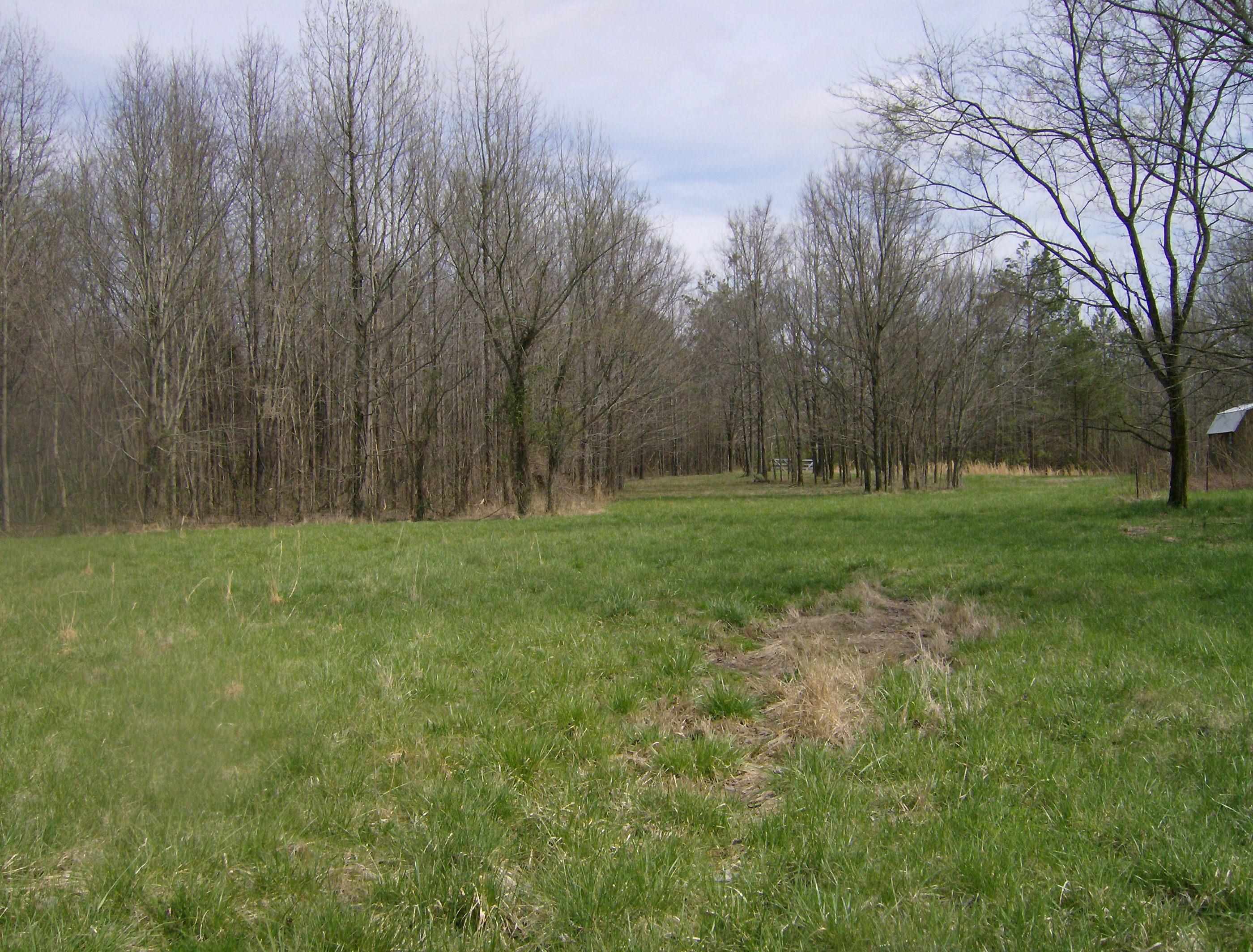 1050 Pryor Road Drummonds, TN 38023 - Photo 12 of 16 Gallery Image 12