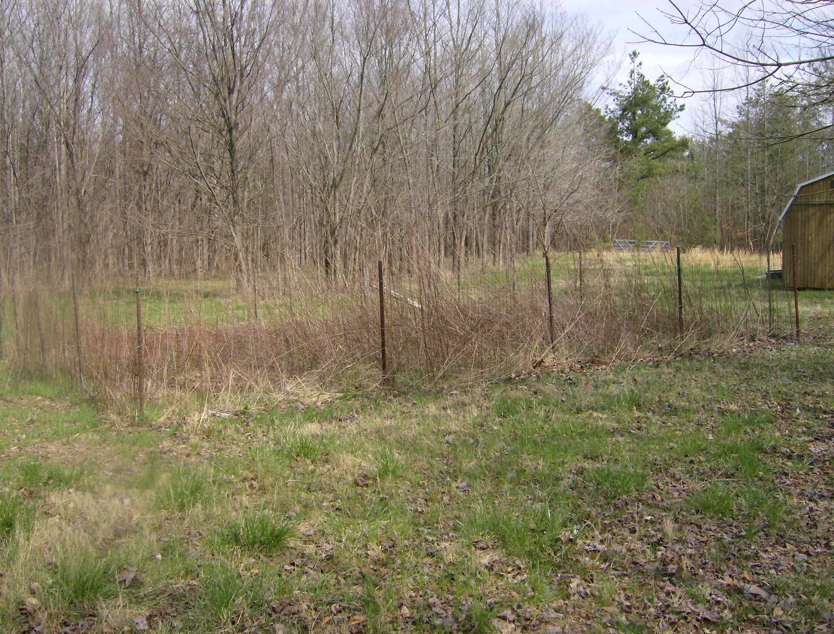 1050 Pryor Road Drummonds, TN 38023 - Photo 8 of 16 Gallery Image 8
