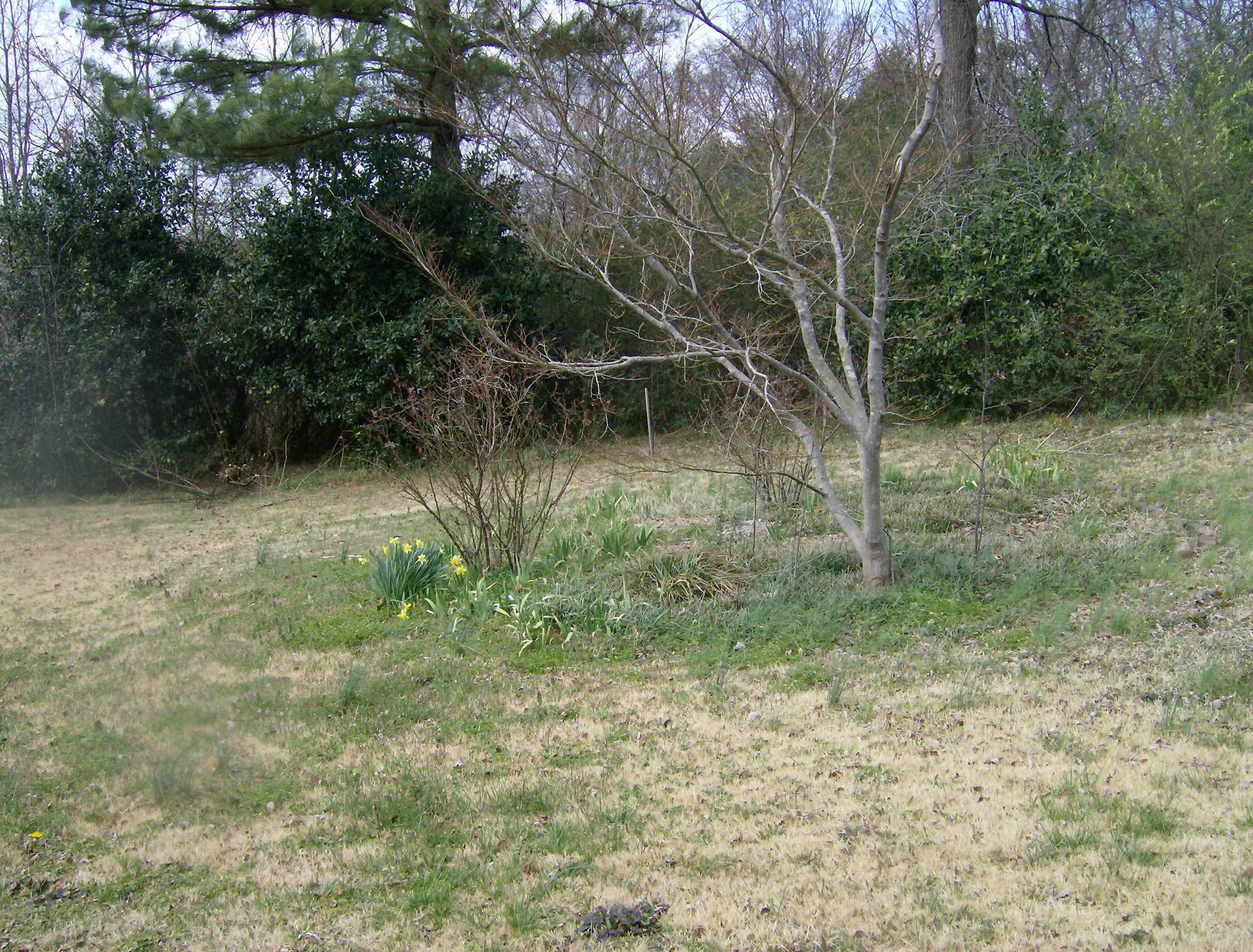 1050 Pryor Road Drummonds, TN 38023 - Photo 9 of 16 Gallery Image 9