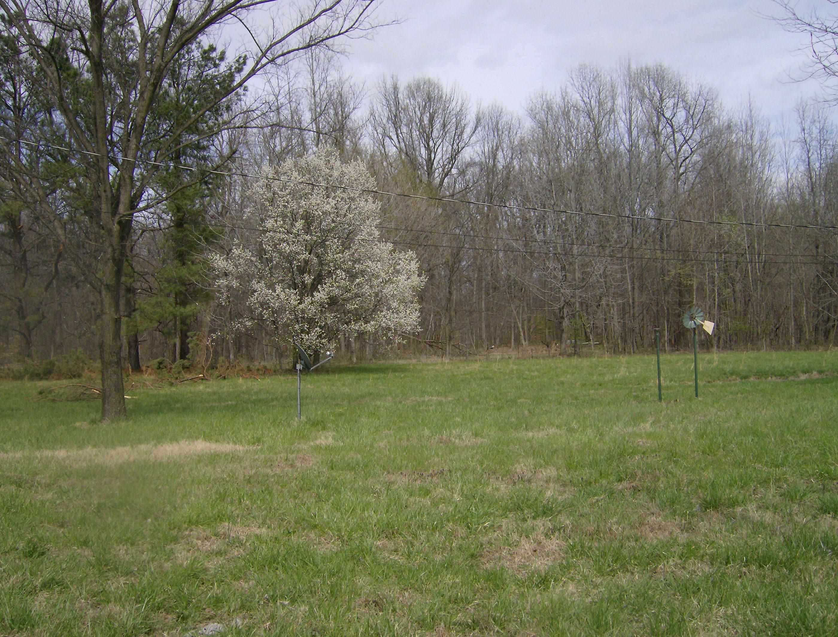 1050 Pryor Road Drummonds, TN 38023 - Photo 10 of 16 Gallery Image 10