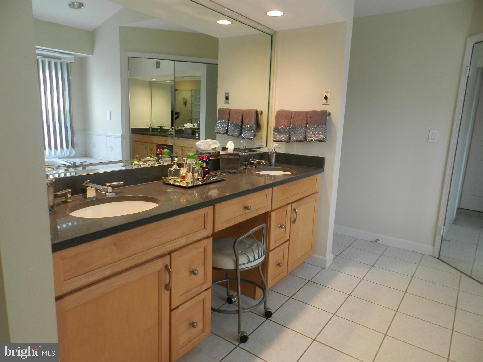 14440 Stonebridge View Drive North Potomac, MD 20878 - Photo 15 of 28 Bath (Master)