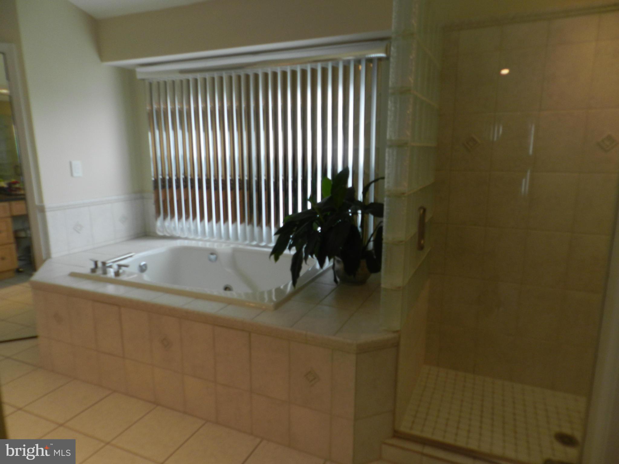 14440 Stonebridge View Drive North Potomac, MD 20878 - Photo 16 of 28 Bath (Master)