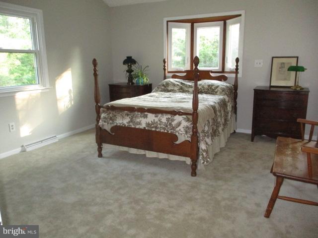 14102 Baldwin Mill Road Baldwin, MD 21013 - Photo 12 of 21 New carpet, dressing room & full bath