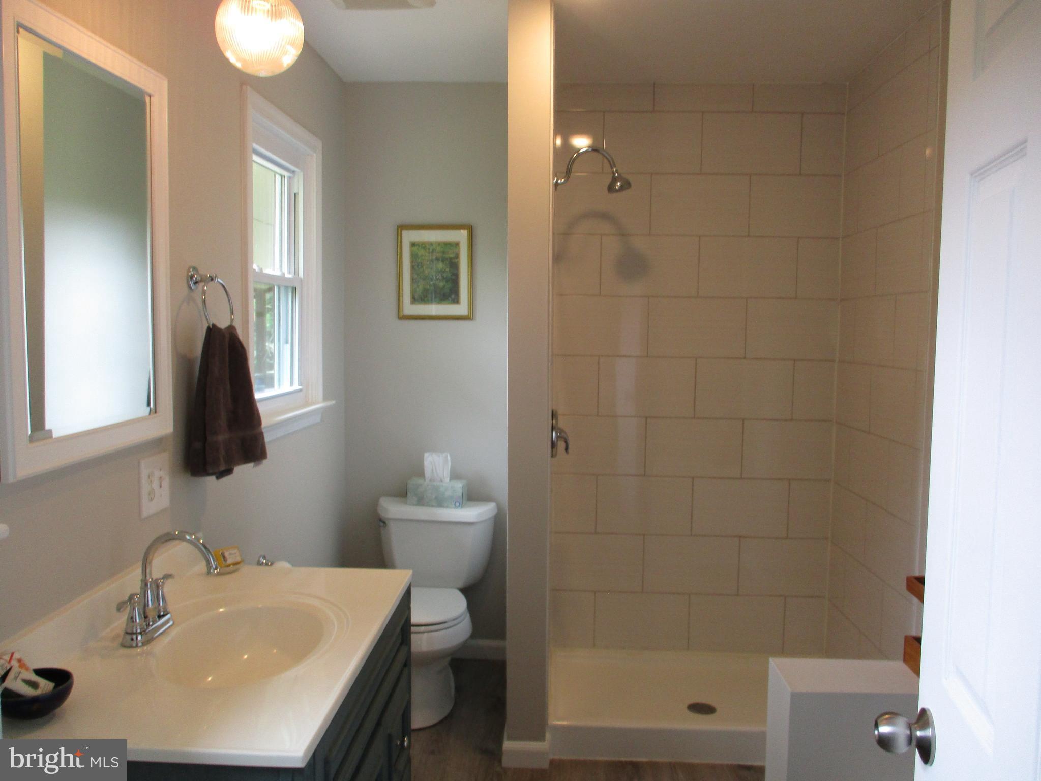 14102 Baldwin Mill Road Baldwin, MD 21013 - Photo 13 of 21 New master bath with tub & seperate shower