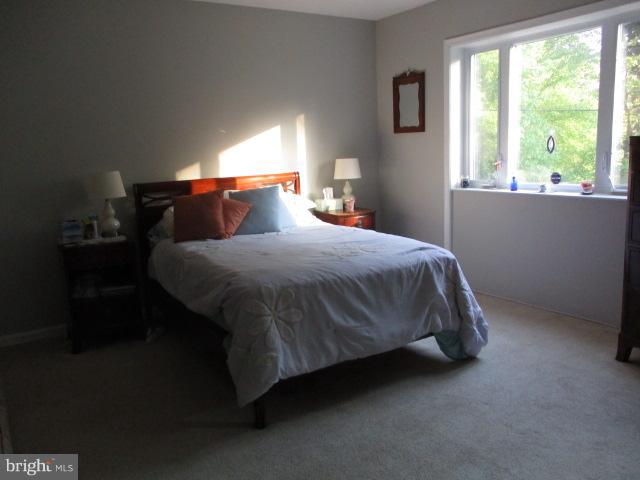 14102 Baldwin Mill Road Baldwin, MD 21013 - Photo 16 of 21 fourth bedroom with bay window, pond views!