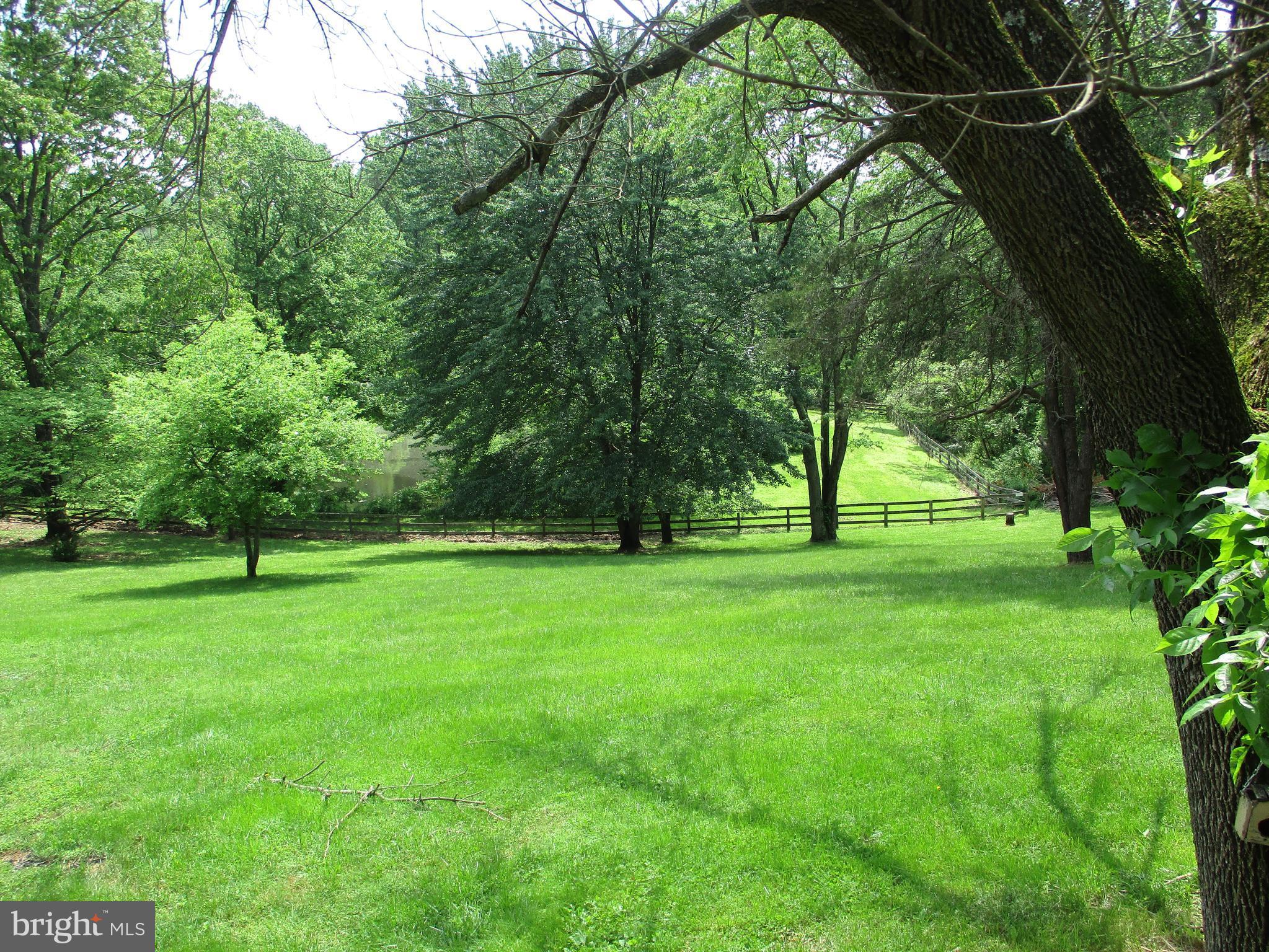 14102 Baldwin Mill Road Baldwin, MD 21013 - Photo 20 of 21 Park like setting!