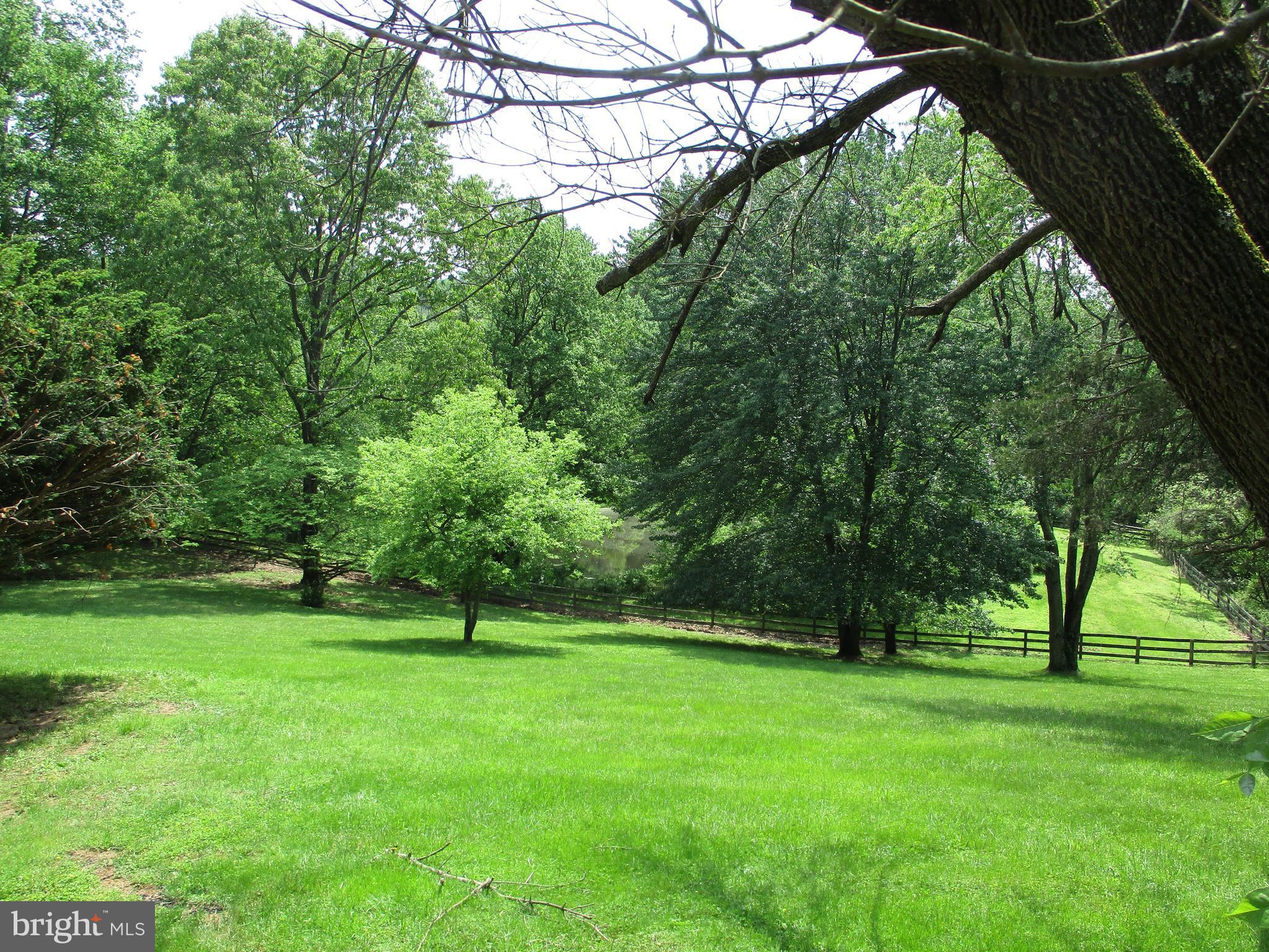 14102 Baldwin Mill Road Baldwin, MD 21013 - Photo 21 of 21 Beautiful grounds!