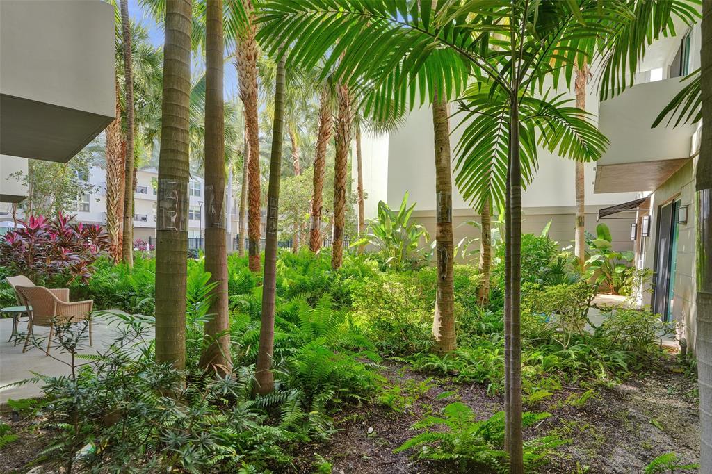 2421 Northeast 65th Street, Unit 2113 Fort Lauderdale, FL 33308 - Photo 13 of 45 a view of backyard with plants and palm trees