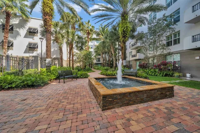 a view of a yard with plants