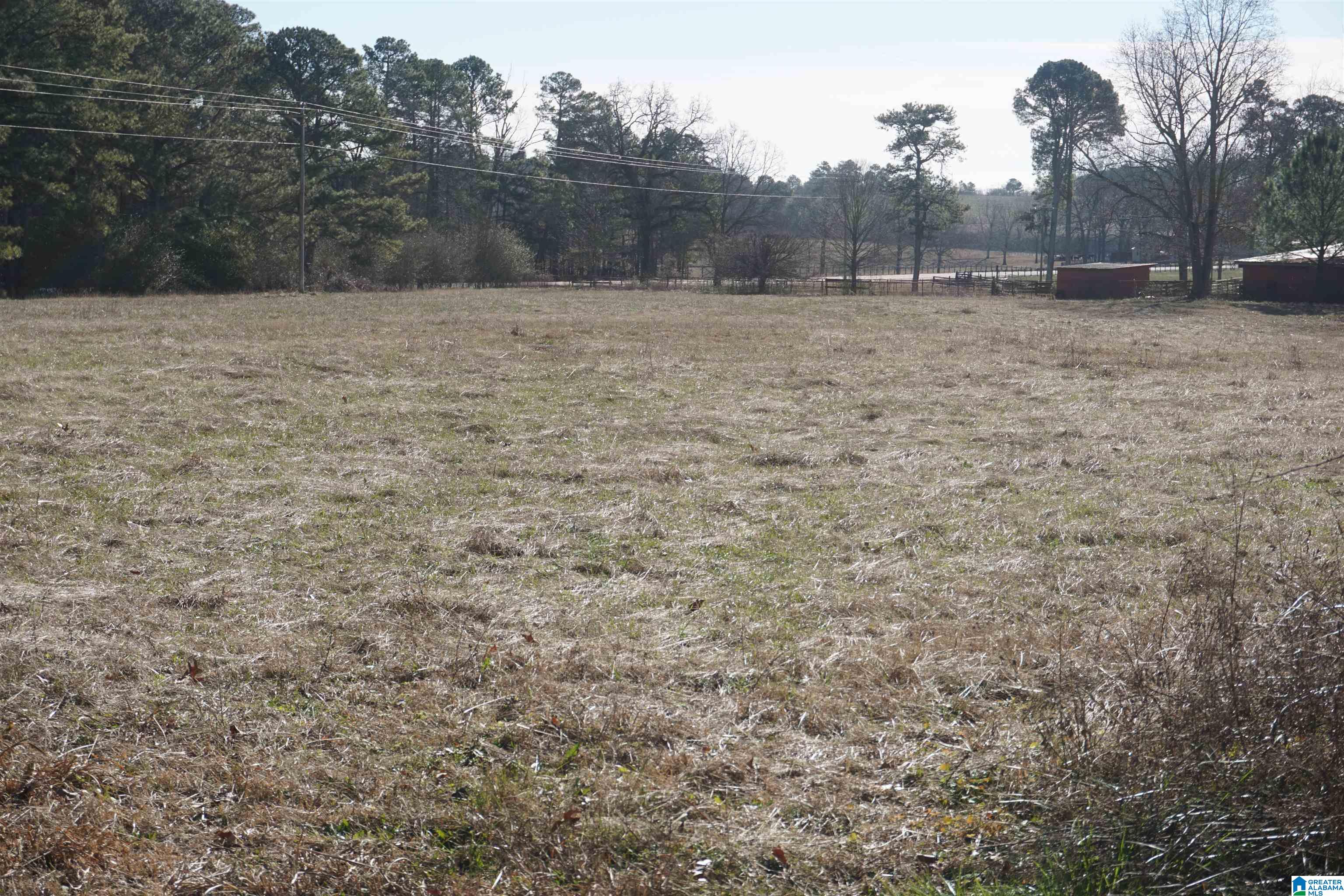 10171 County Road 87 Roanoke, AL 36274 - Photo 30 of 42