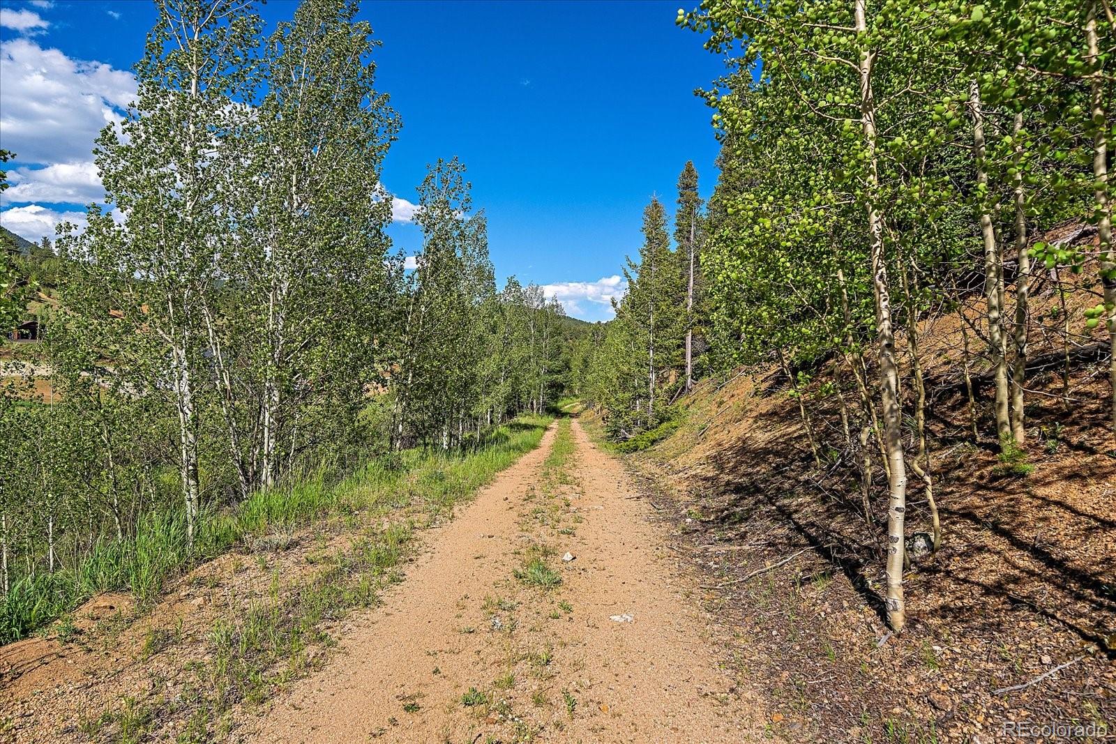 454 Smith Road Bailey, CO 80421 - Photo 1 of 24 a view of a road with a trees