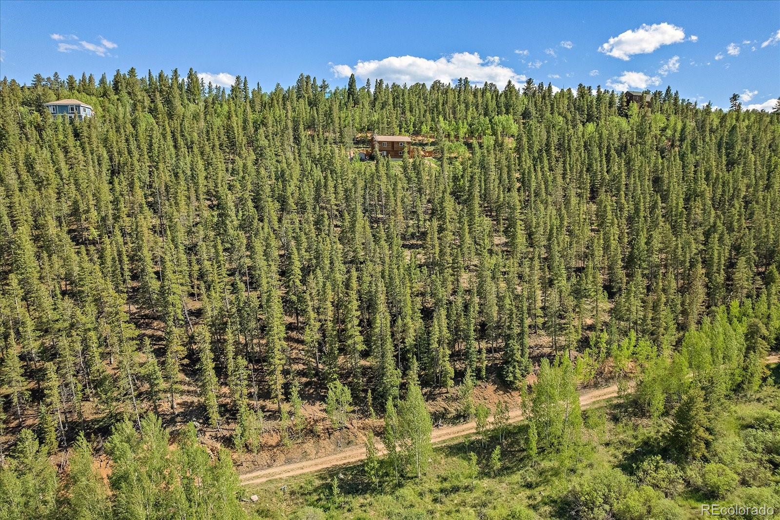 454 Smith Road Bailey, CO 80421 - Photo 11 of 24 a view of a bunch of plants and trees