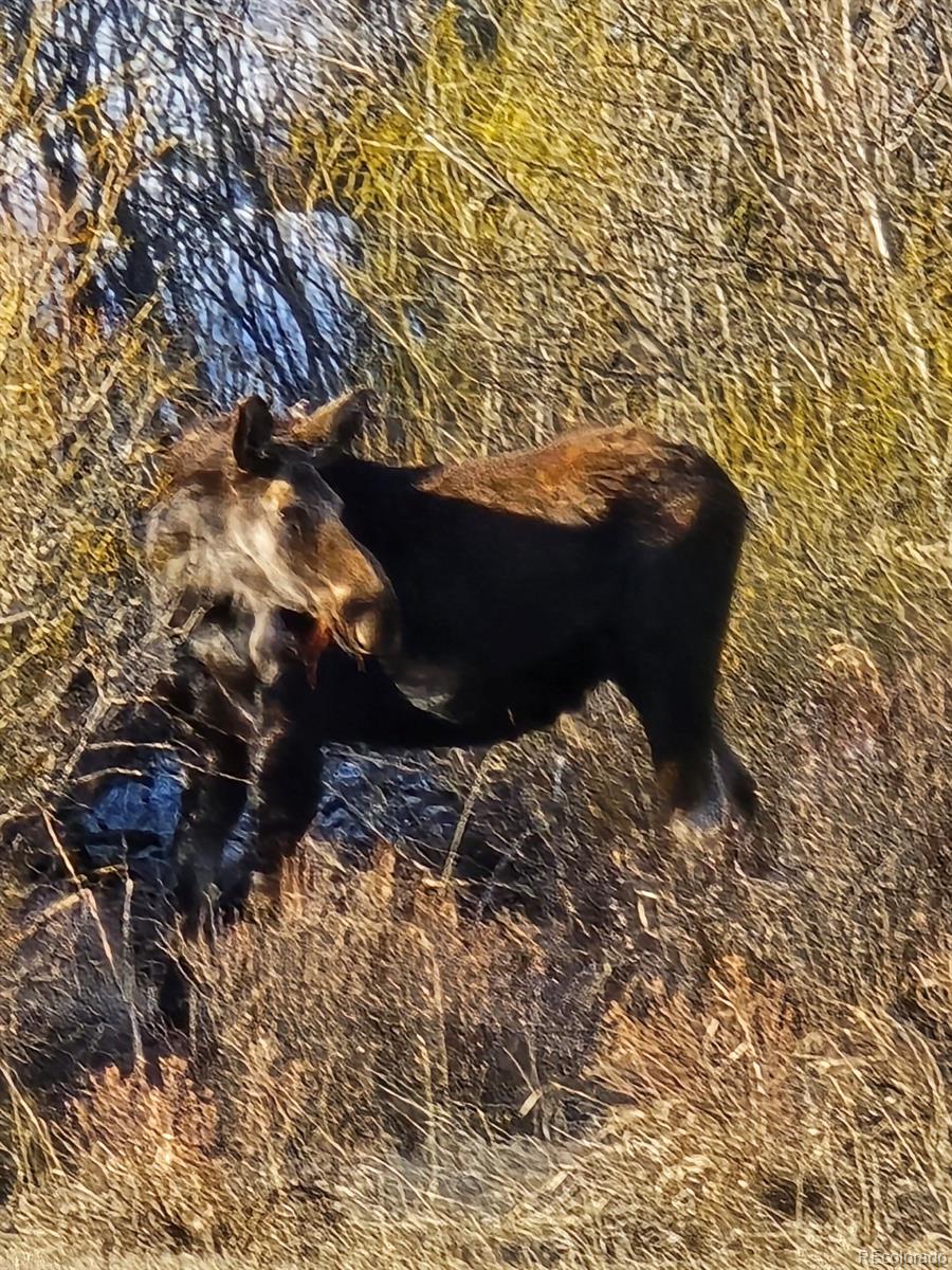 454 Smith Road Bailey, CO 80421 - Photo 18 of 24 a view of water heater