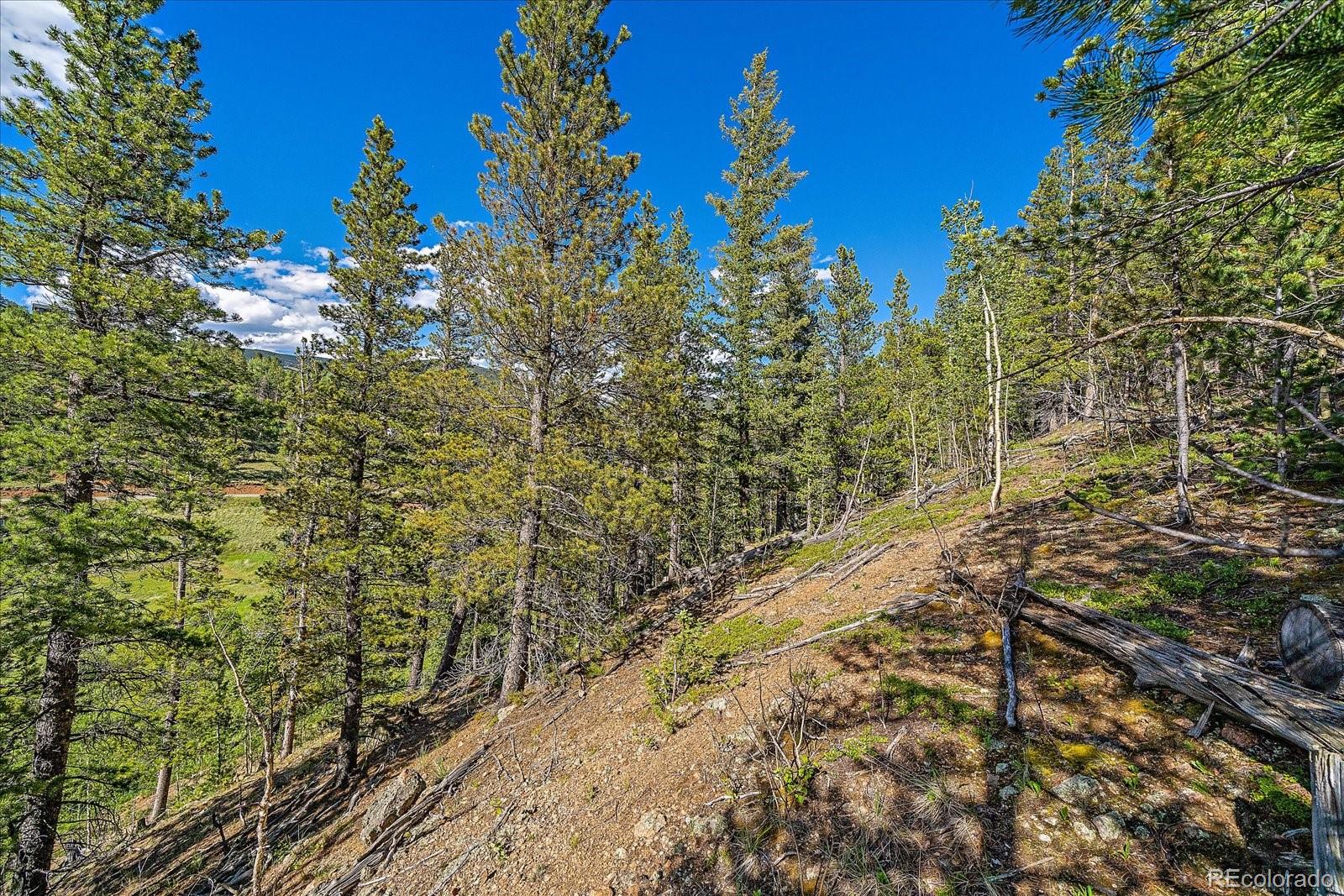454 Smith Road Bailey, CO 80421 - Photo 3 of 24 a view of a yard with plants and wooden fence