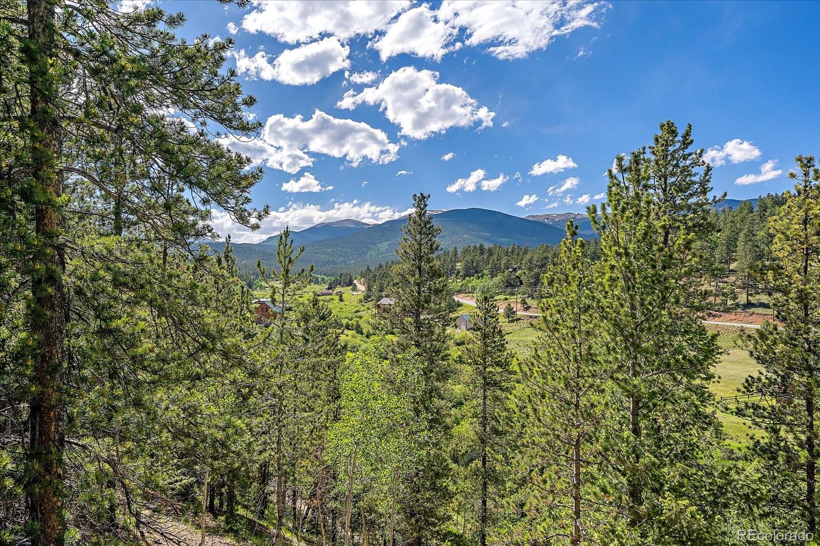454 Smith Road Bailey, CO 80421 - Photo 4 of 24 a view of a bunch of flowers