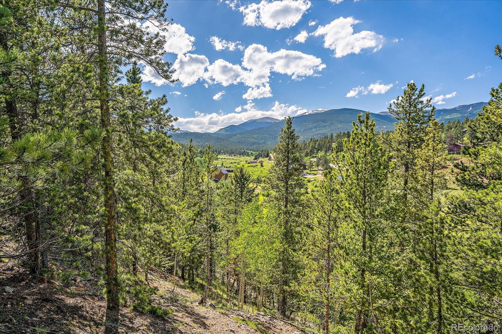 454 Smith Road Bailey, CO 80421 - Photo 6 of 24