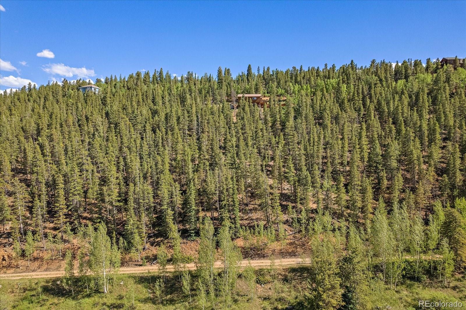 454 Smith Road Bailey, CO 80421 - Photo 8 of 24