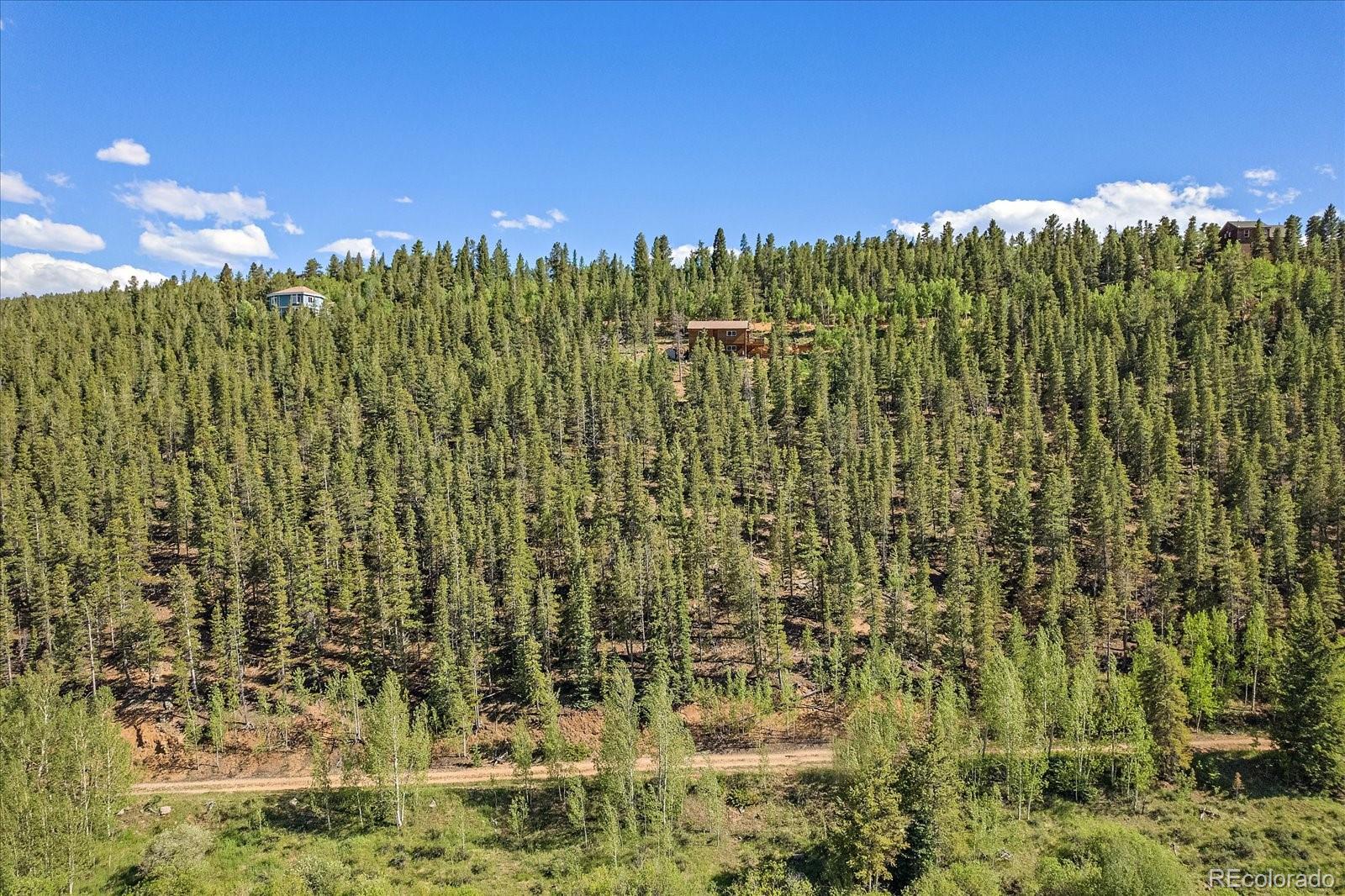 454 Smith Road Bailey, CO 80421 - Photo 9 of 24