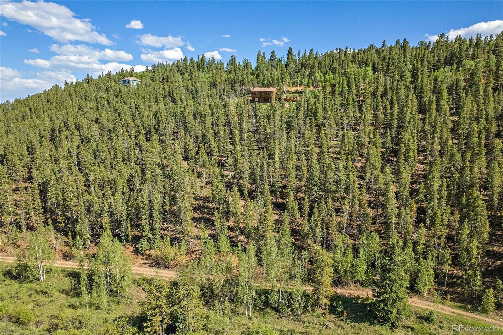 454 Smith Road Bailey, CO 80421 - Photo 10 of 24